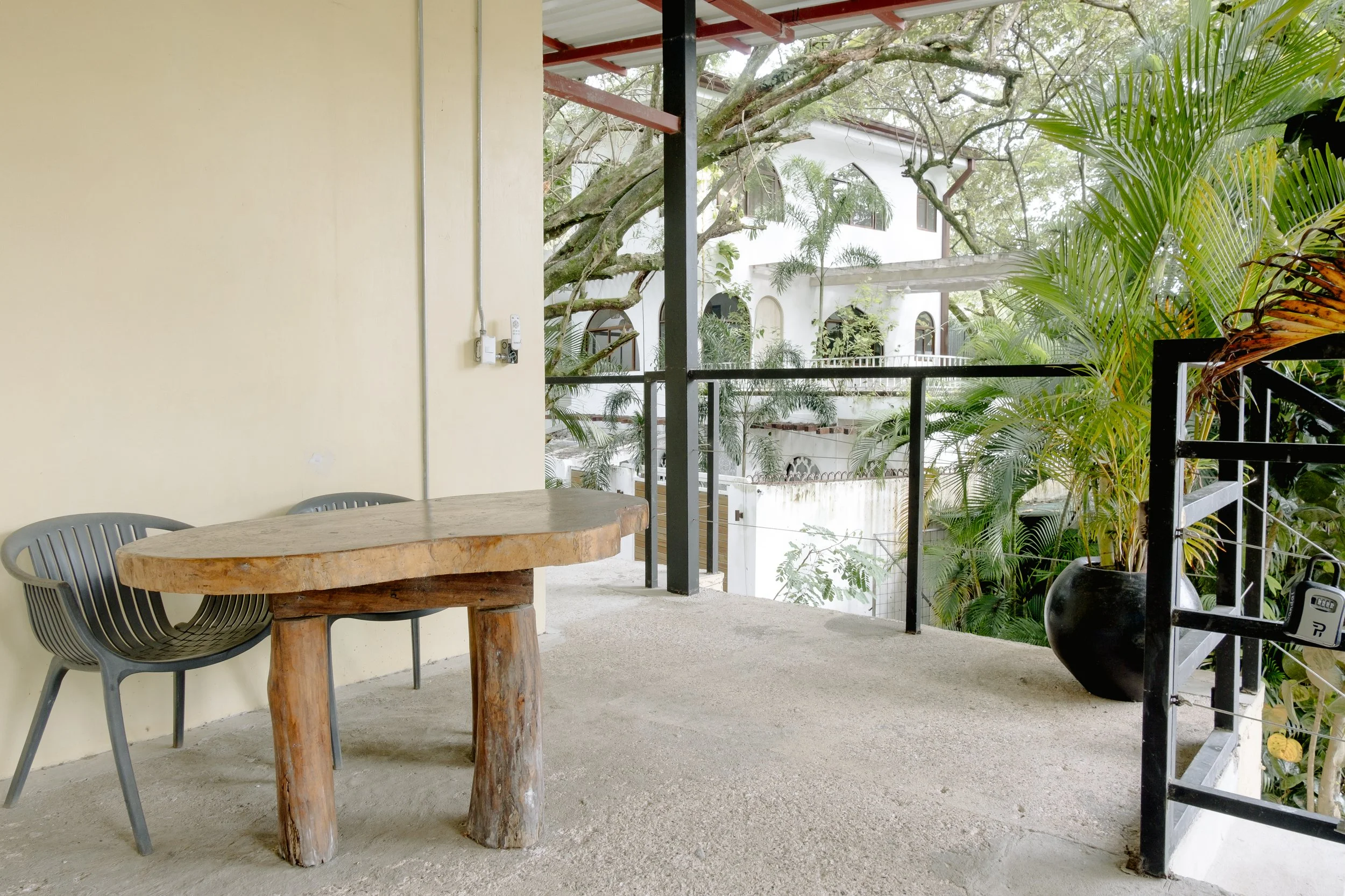 © Shawna Stanley 2025-7.jpg