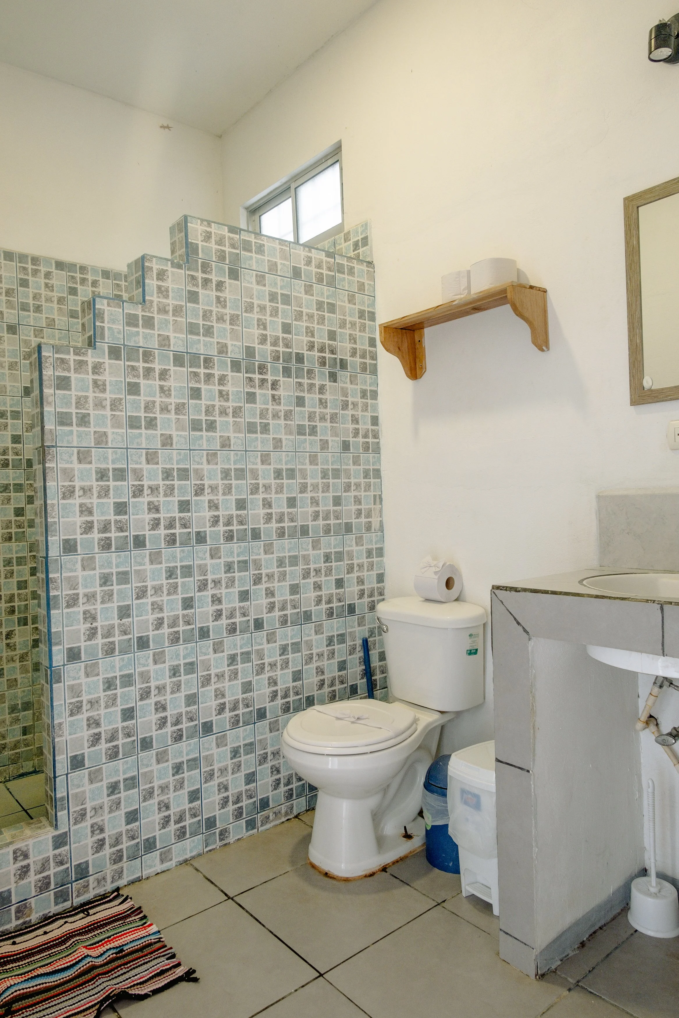 © Shawna Stanley 2025-3.jpg