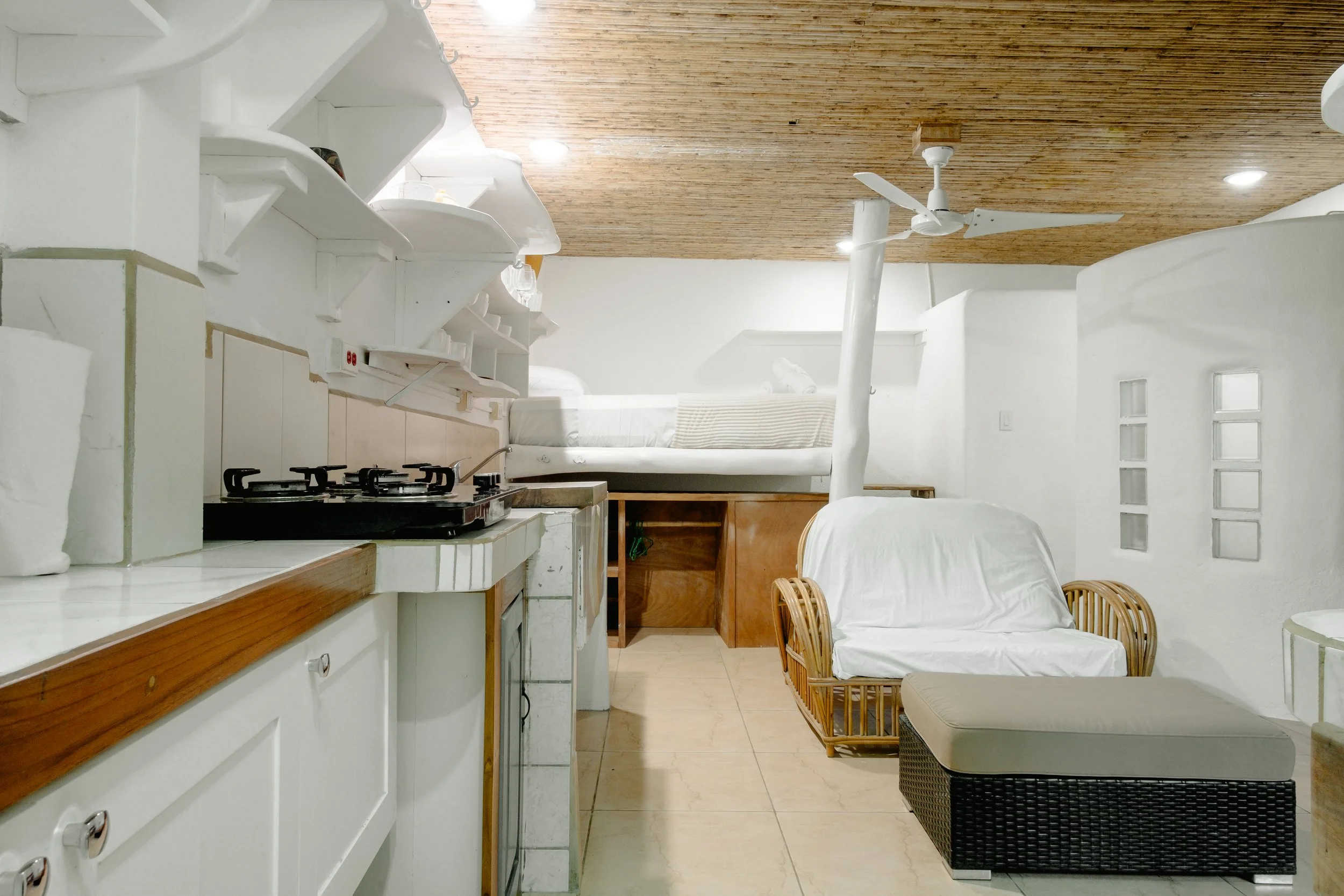 © Shawna Stanley 2025-2.jpg