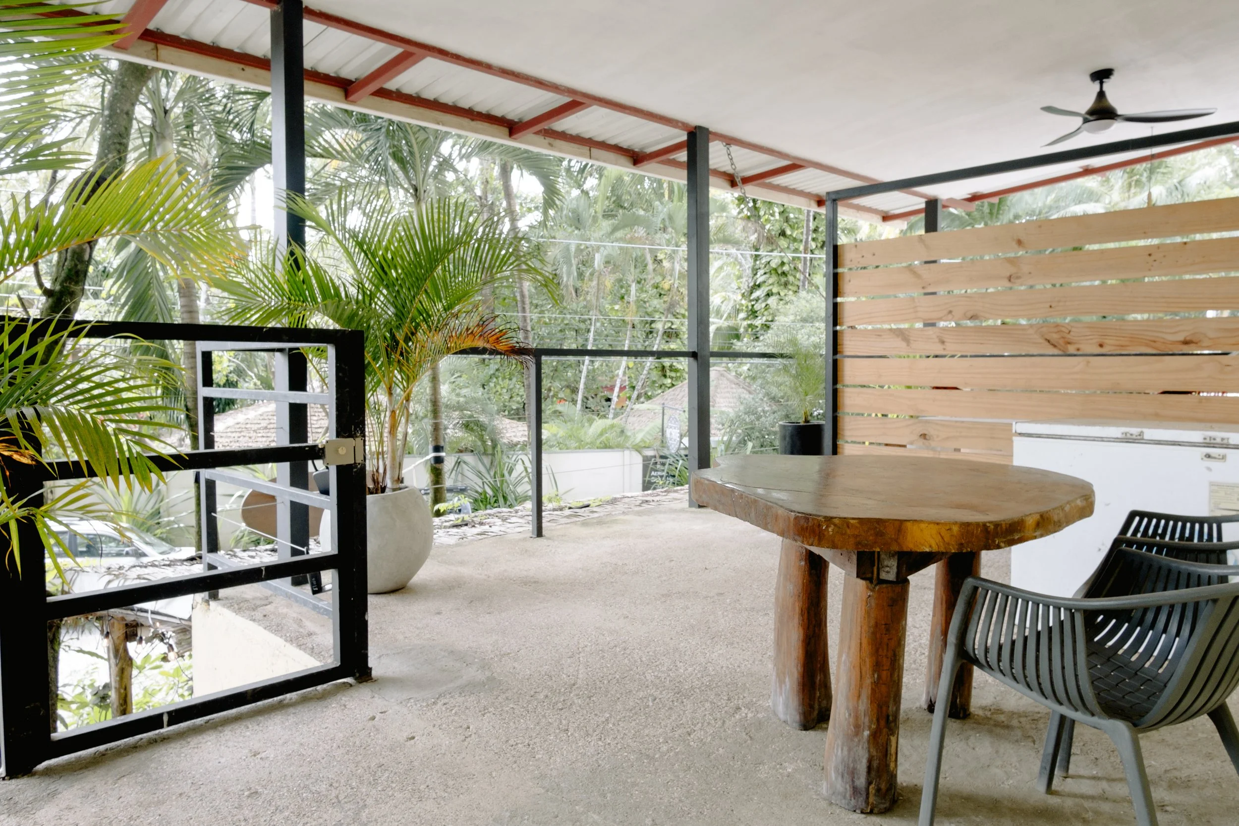 © Shawna Stanley 2025-6.jpg