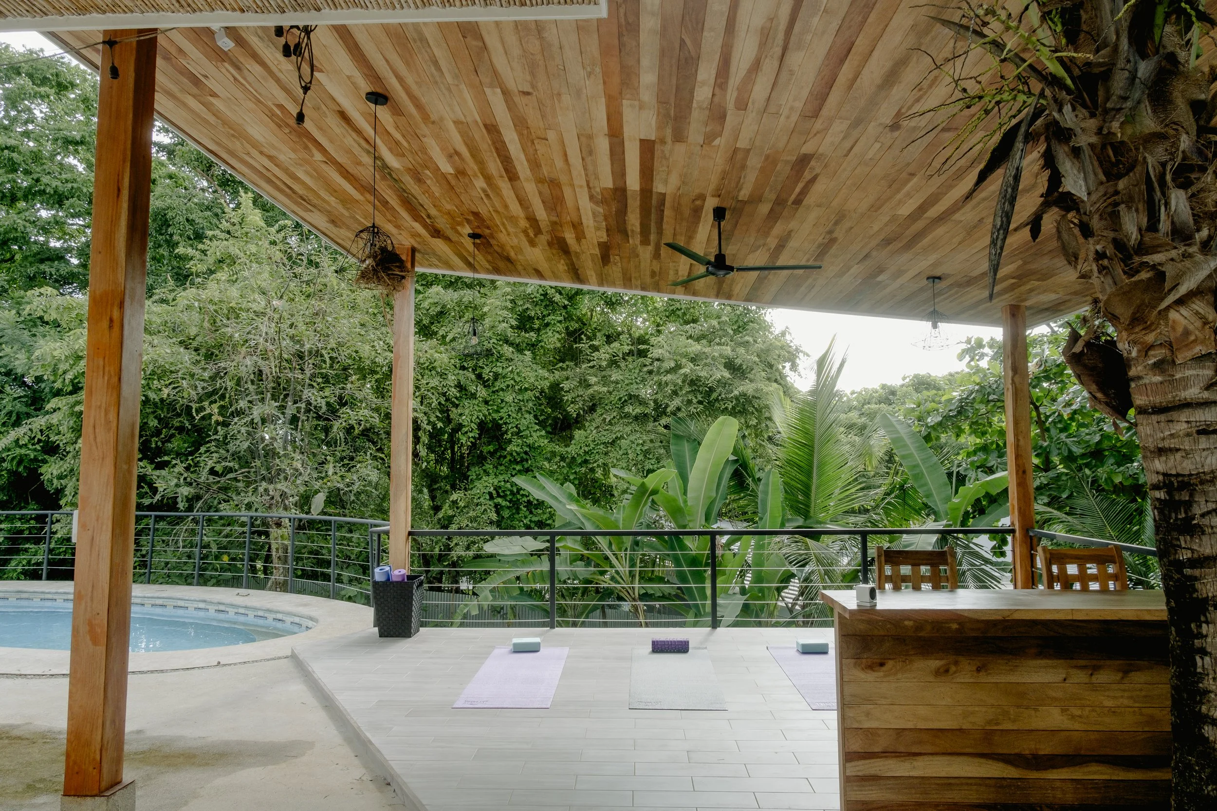 © Shawna Stanley 2025-22.jpg