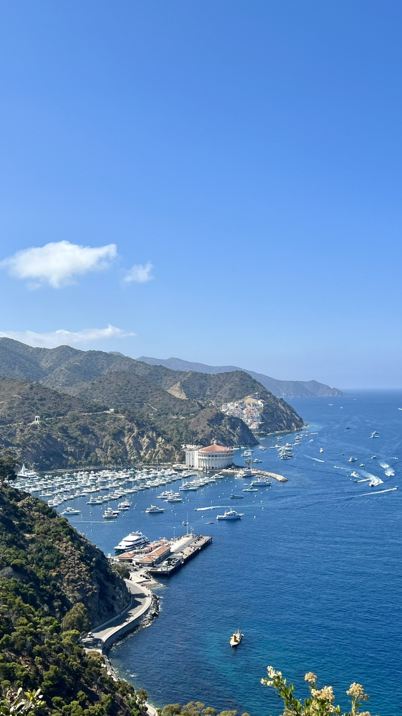 A scenic view of a harbor with numerous yachts and boats, surrounded by green hills, under a clear blue sky with a few clouds.