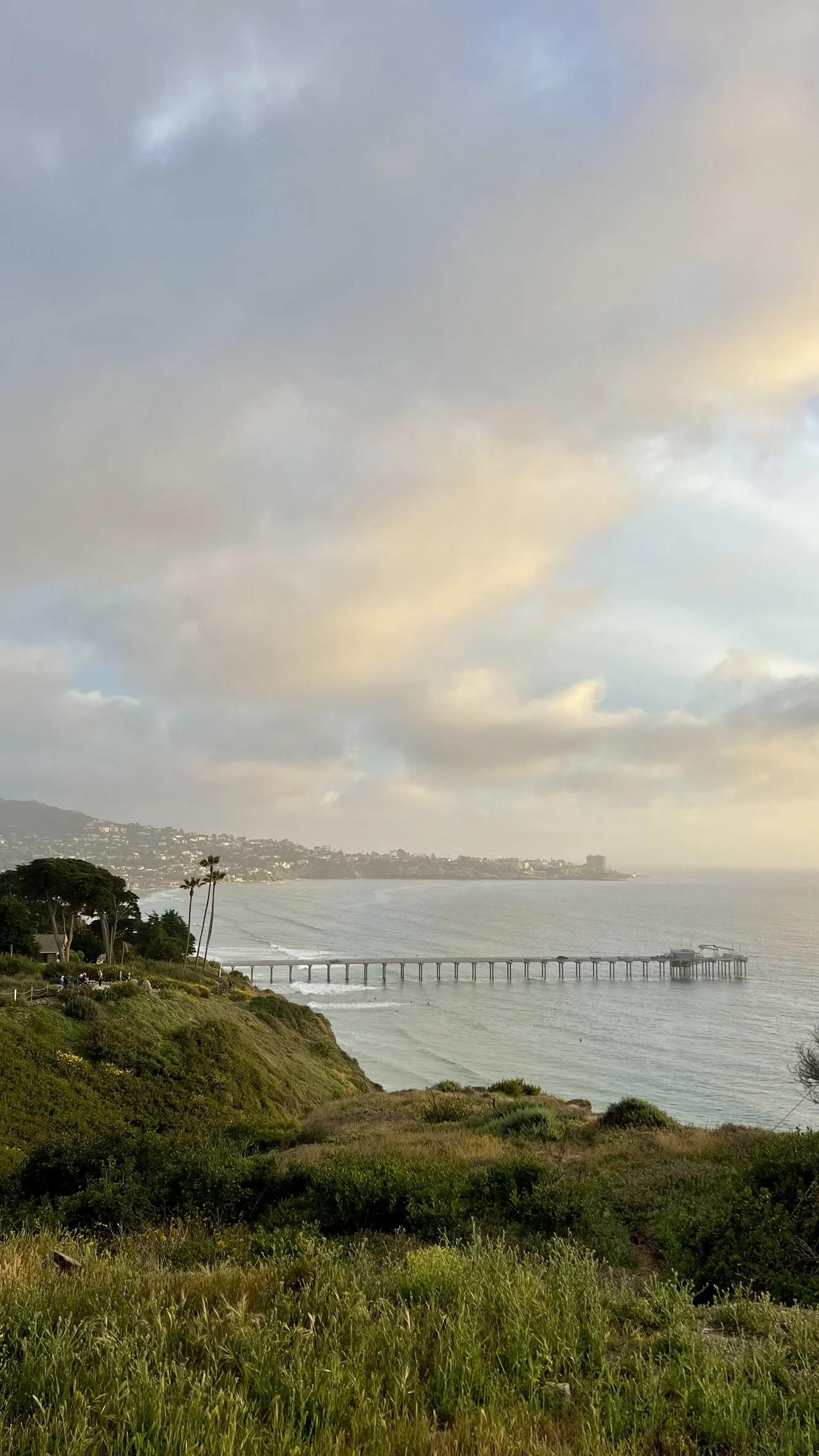 Scenic coastal view of the ocean, with a pier extending into the water, green hillside in the foreground, and a distant shoreline with buildings under cloudy sky.