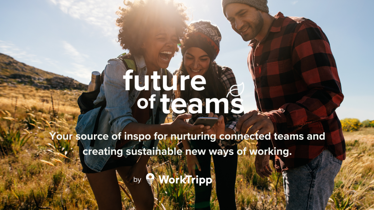 WorkTripp — BCorp Platform: Research-Driven Product Strategy & Growth