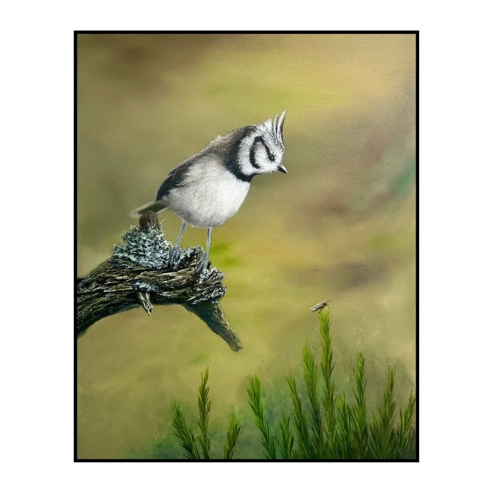 Crested Tit | 16 × 20 inches