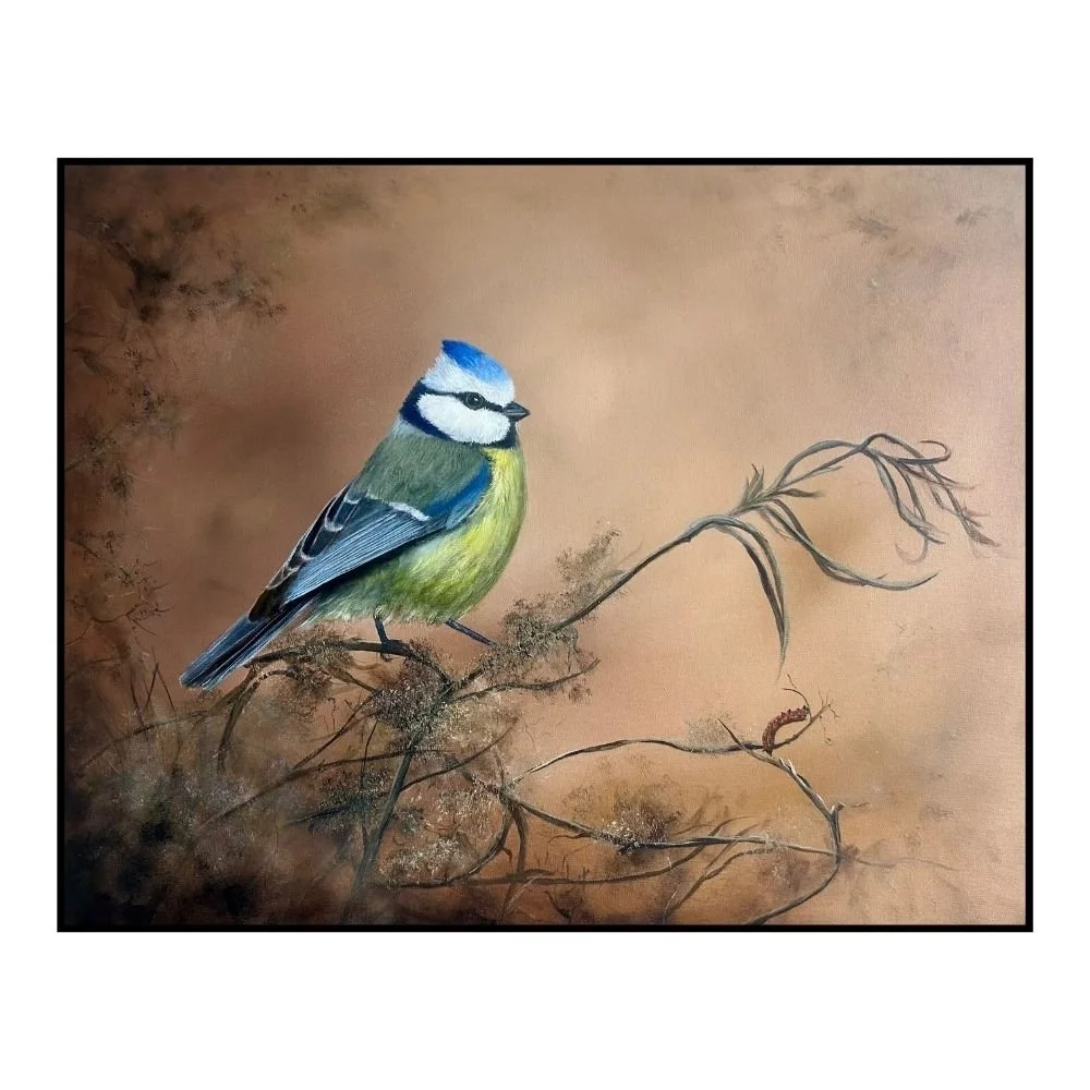 Blue Tit | 20 × 16 inches