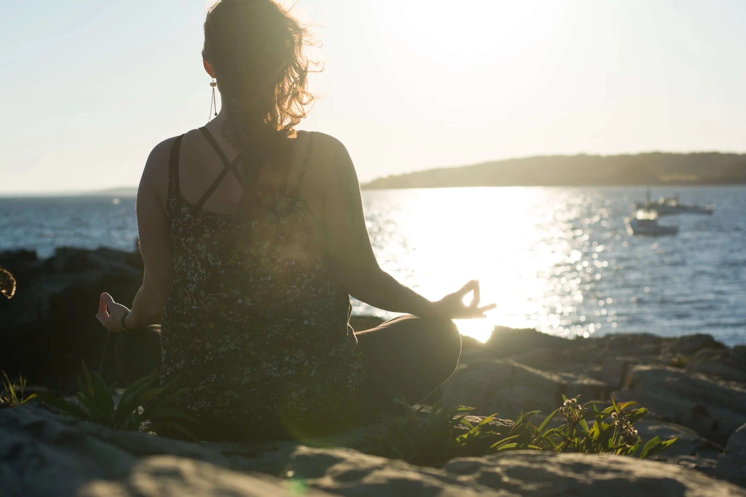 Reset & Regulate:  A Guided Nervous System Healing Meditation & Workbook