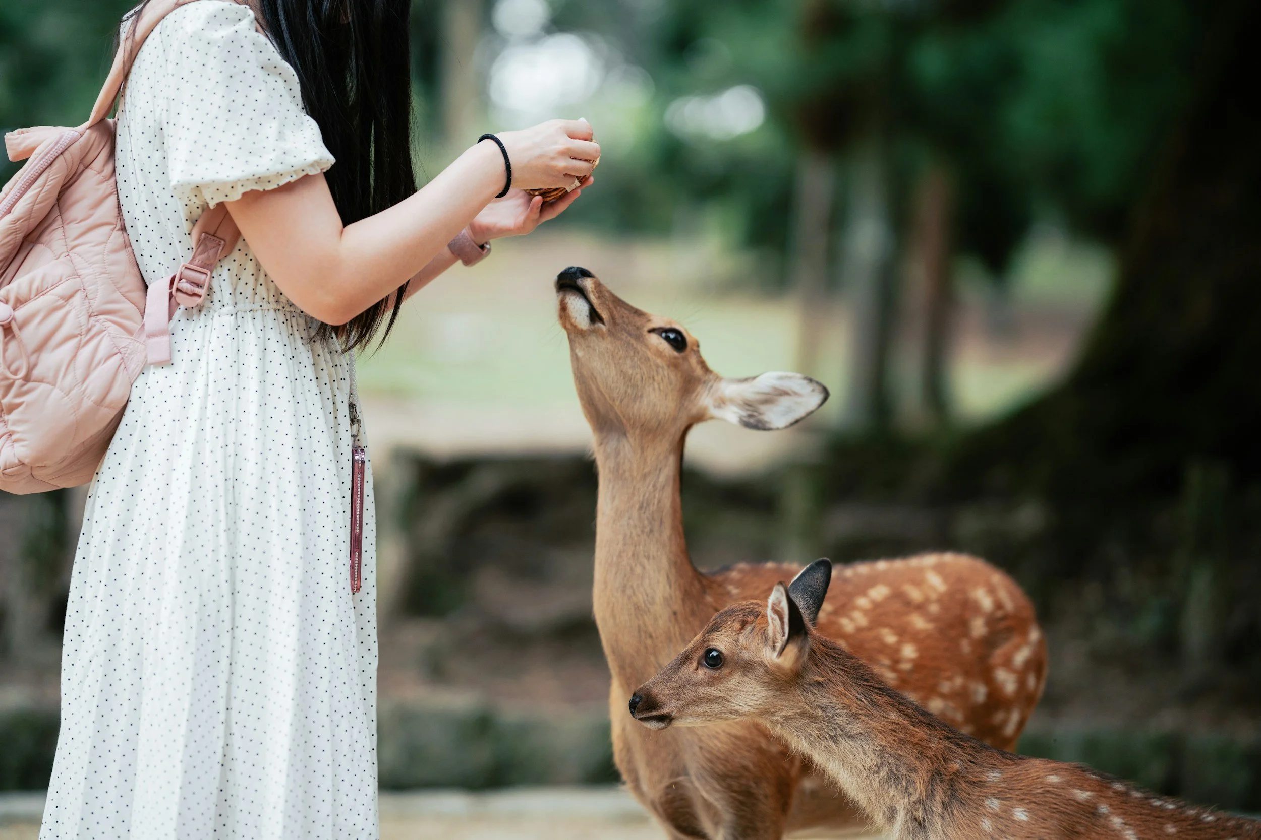 How Animal Messages Helped My Kids Find Their Inner Strength