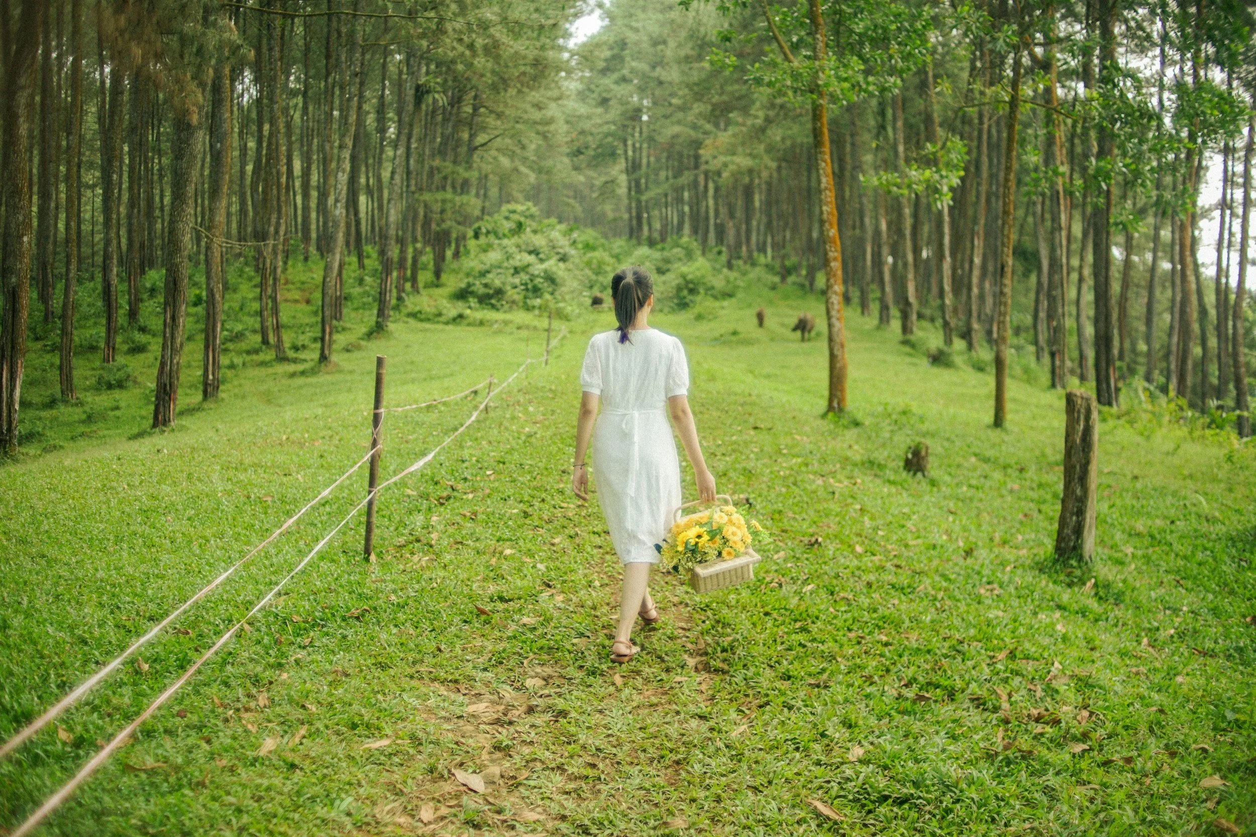 Remembering Your Power: Reiki as a Practice of Self-Trust