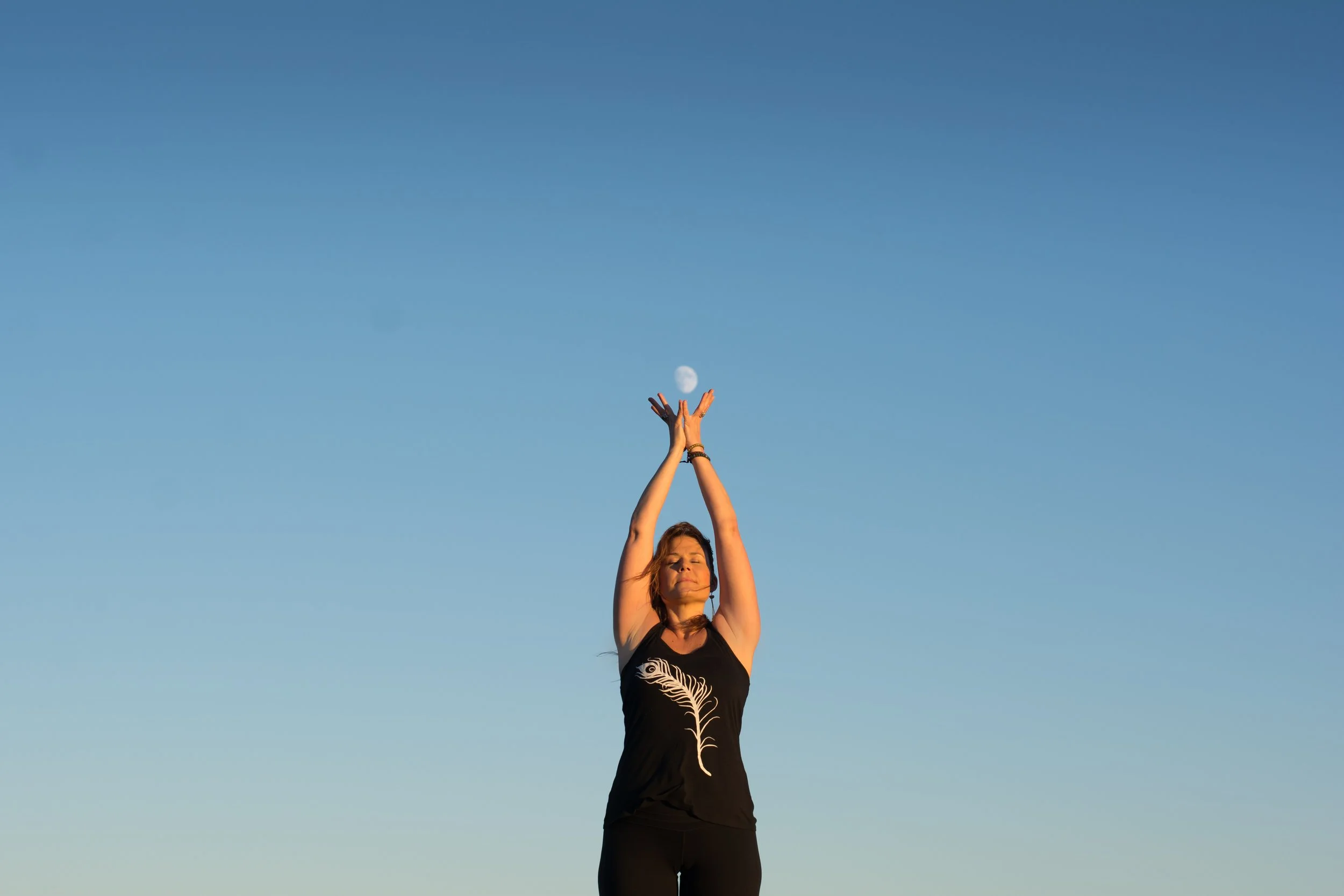 Self-Healing for Stress & Anxiety:  A Guided Audio Class, Meditation & Self-Healing Workbook