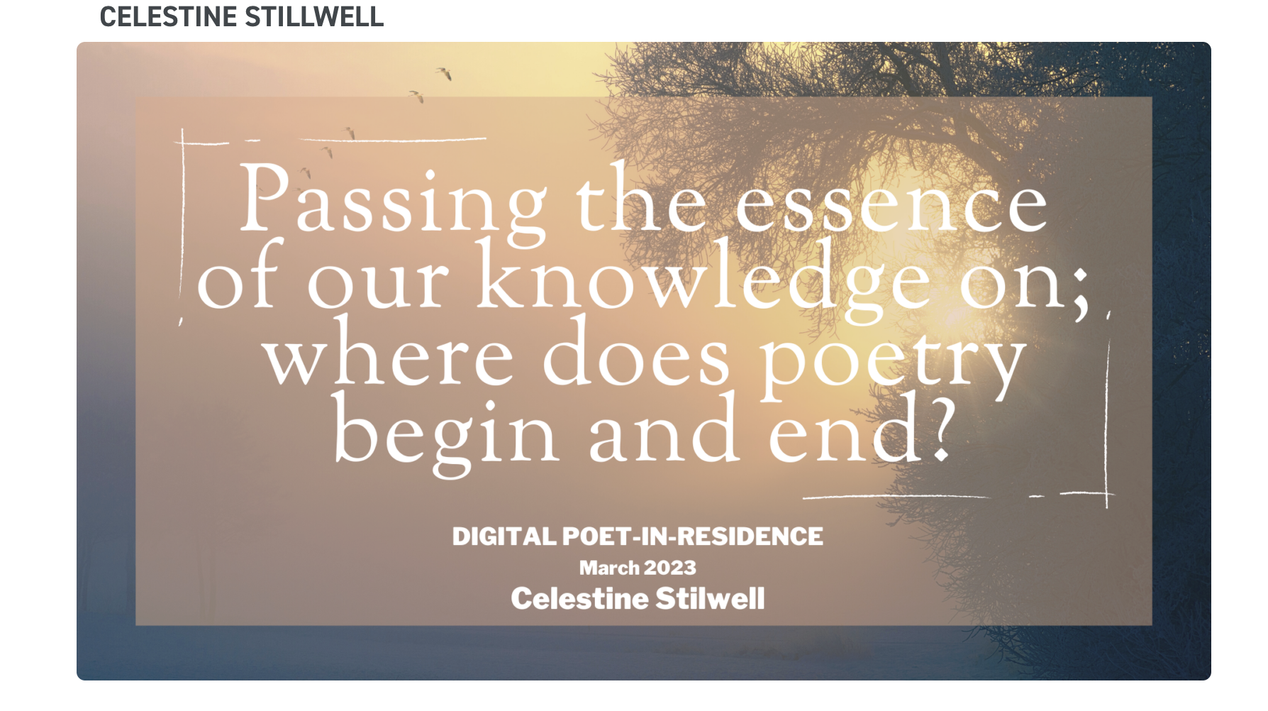 The Poetry Business - Digital Residency. 