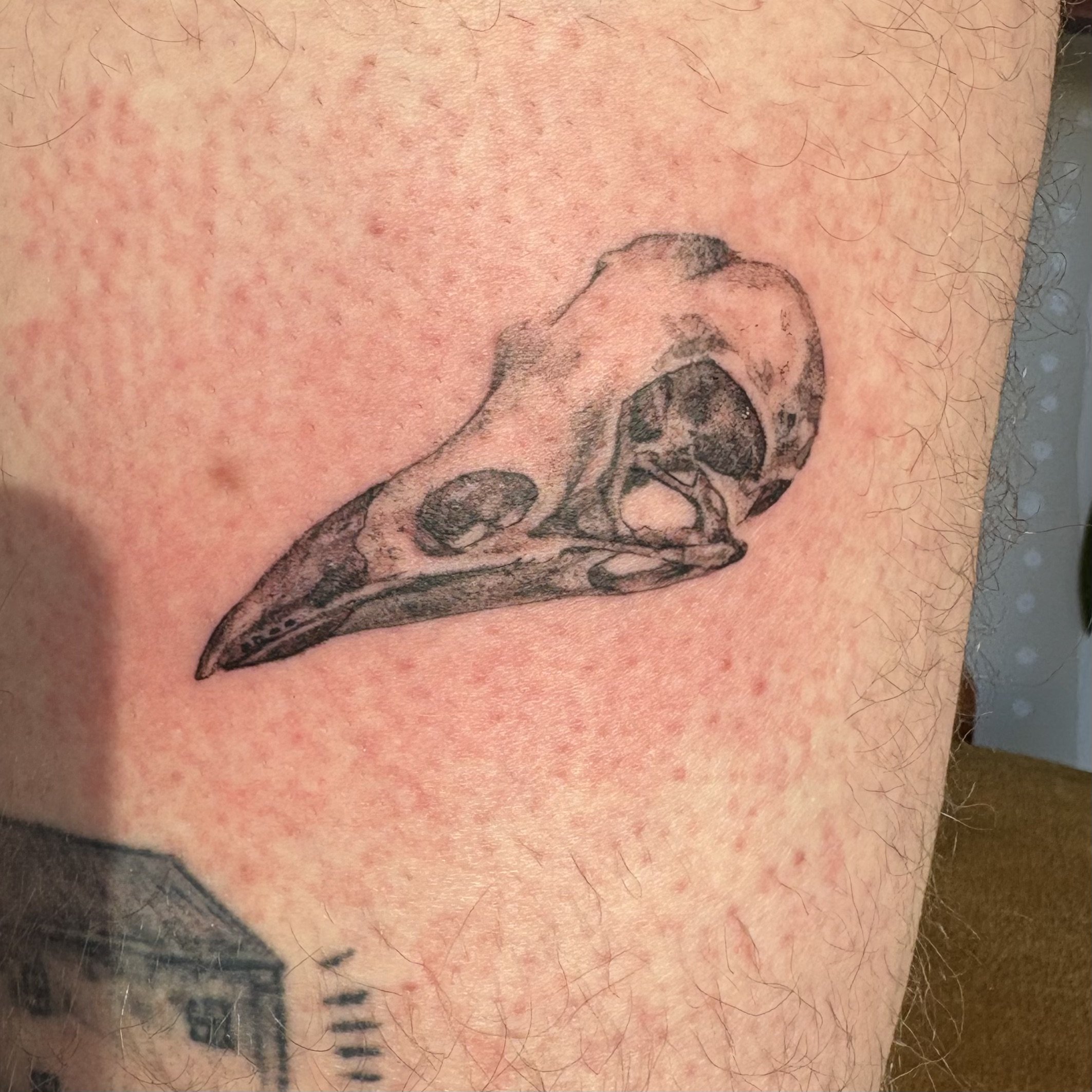 Tattoo of an animal skull on skin.