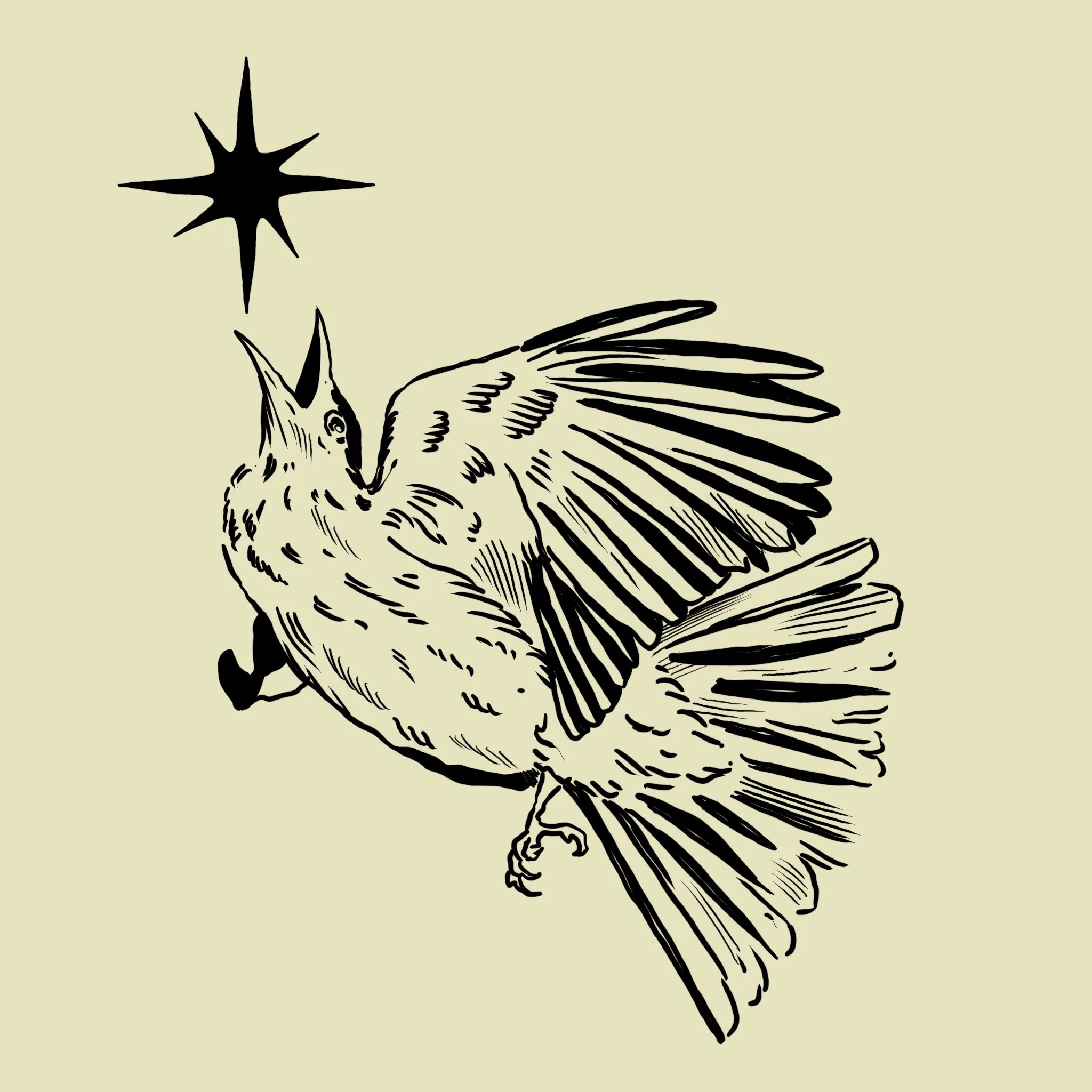 Line drawing of a bird with wings spread, looking up at a star in the sky.
