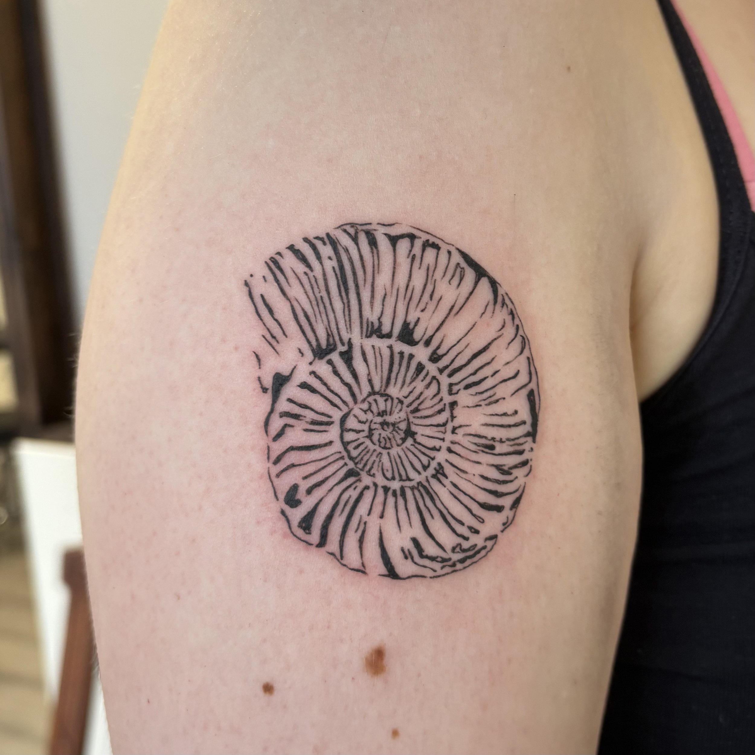 A black ink line tattoo of a seashell on a person's upper arm.
