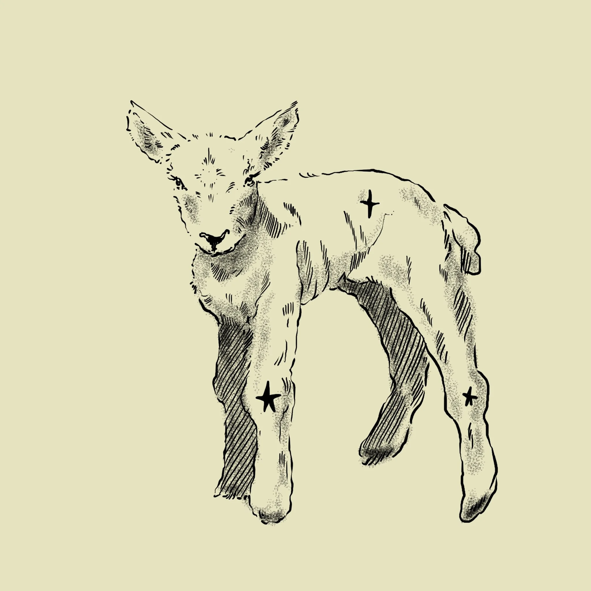A sketched illustration of a dog with several black crosses marked on its body, on a light background.