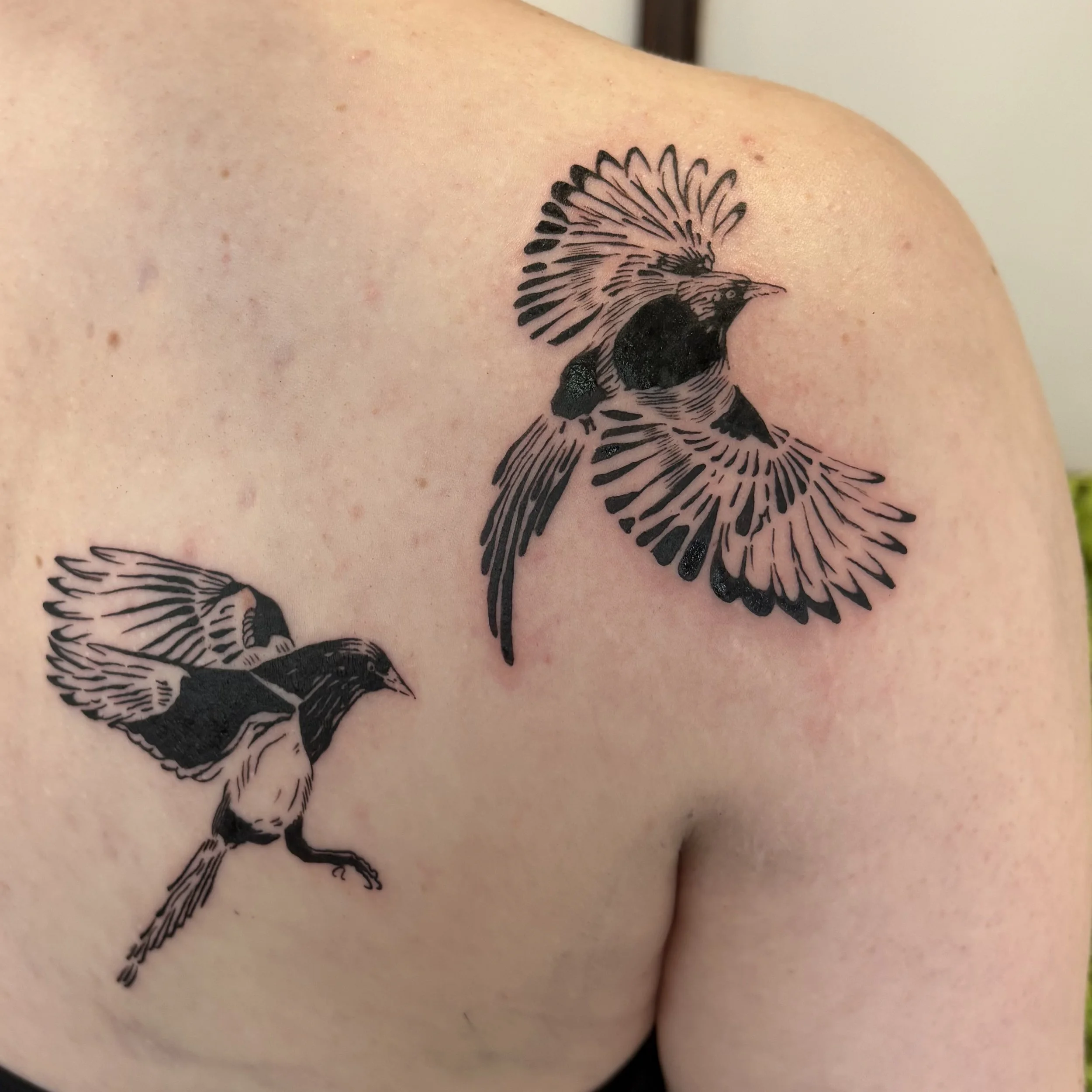 Tattoo of two black and gray winged birds on person's upper shoulder and chest.