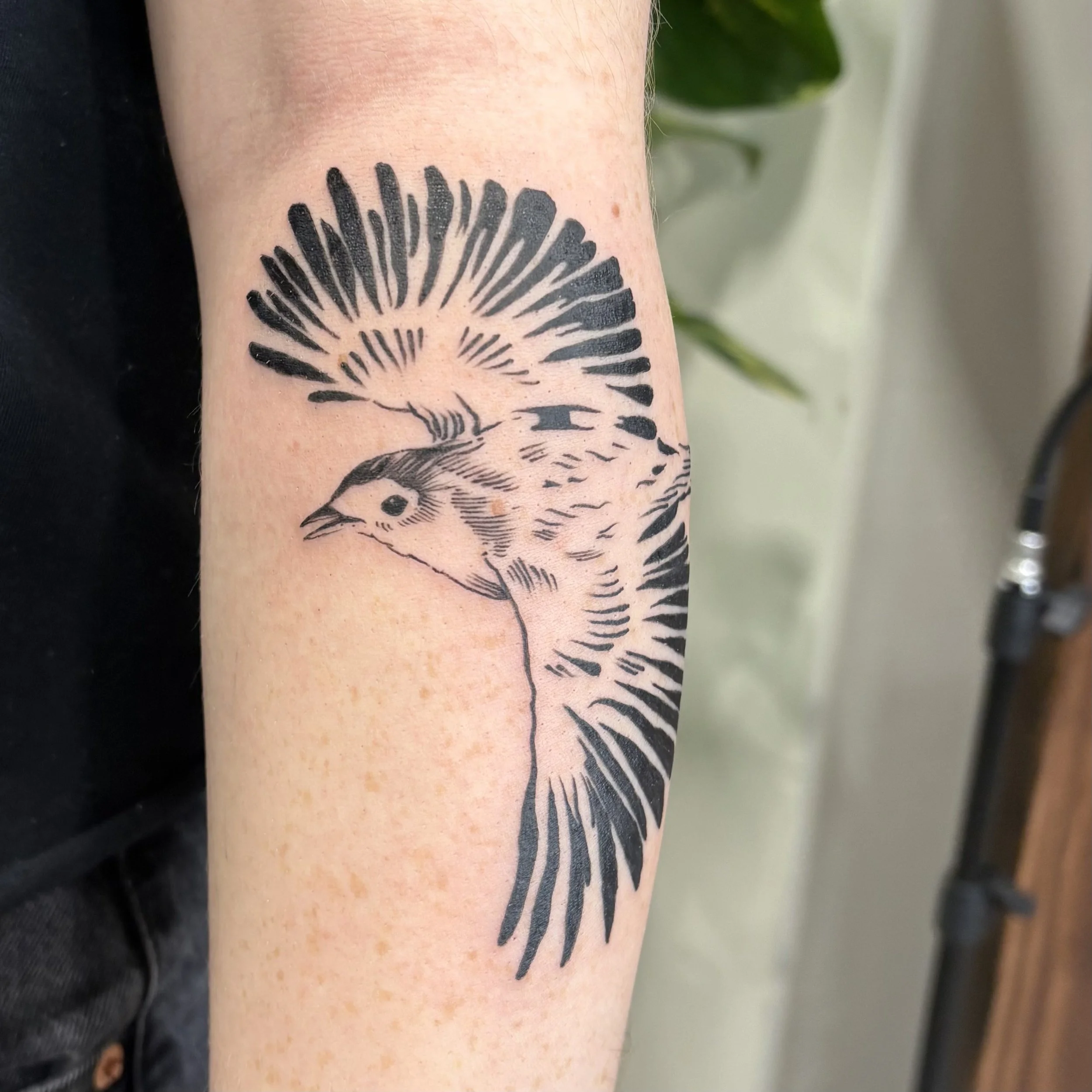 Black ink tattoo of a bird in flight, viewed from the side, with detailed feathers on the wing and tail.