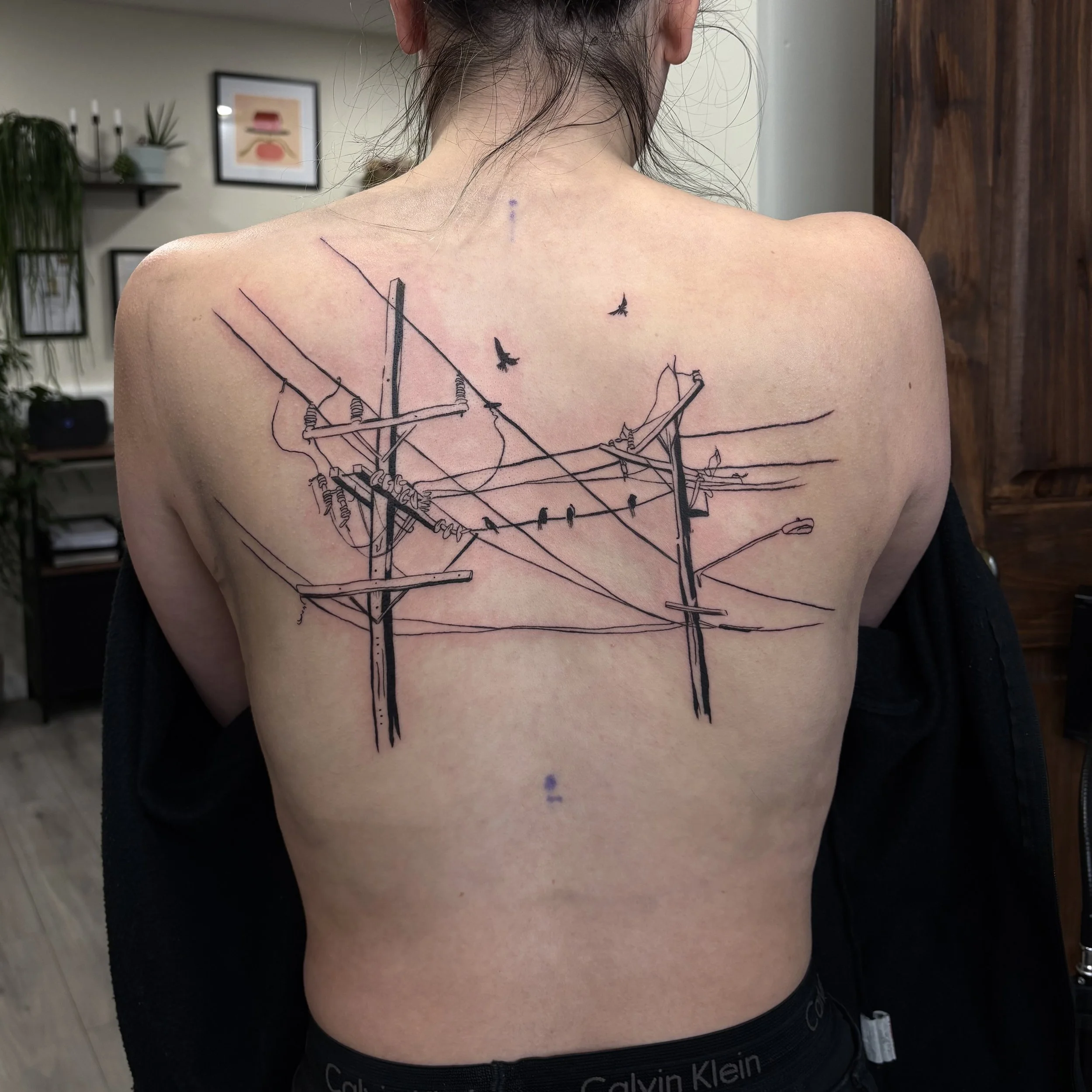 A person's upper back with a new tattoo of a line drawing of telephone poles and wires, with small birds flying around, in an indoor setting.