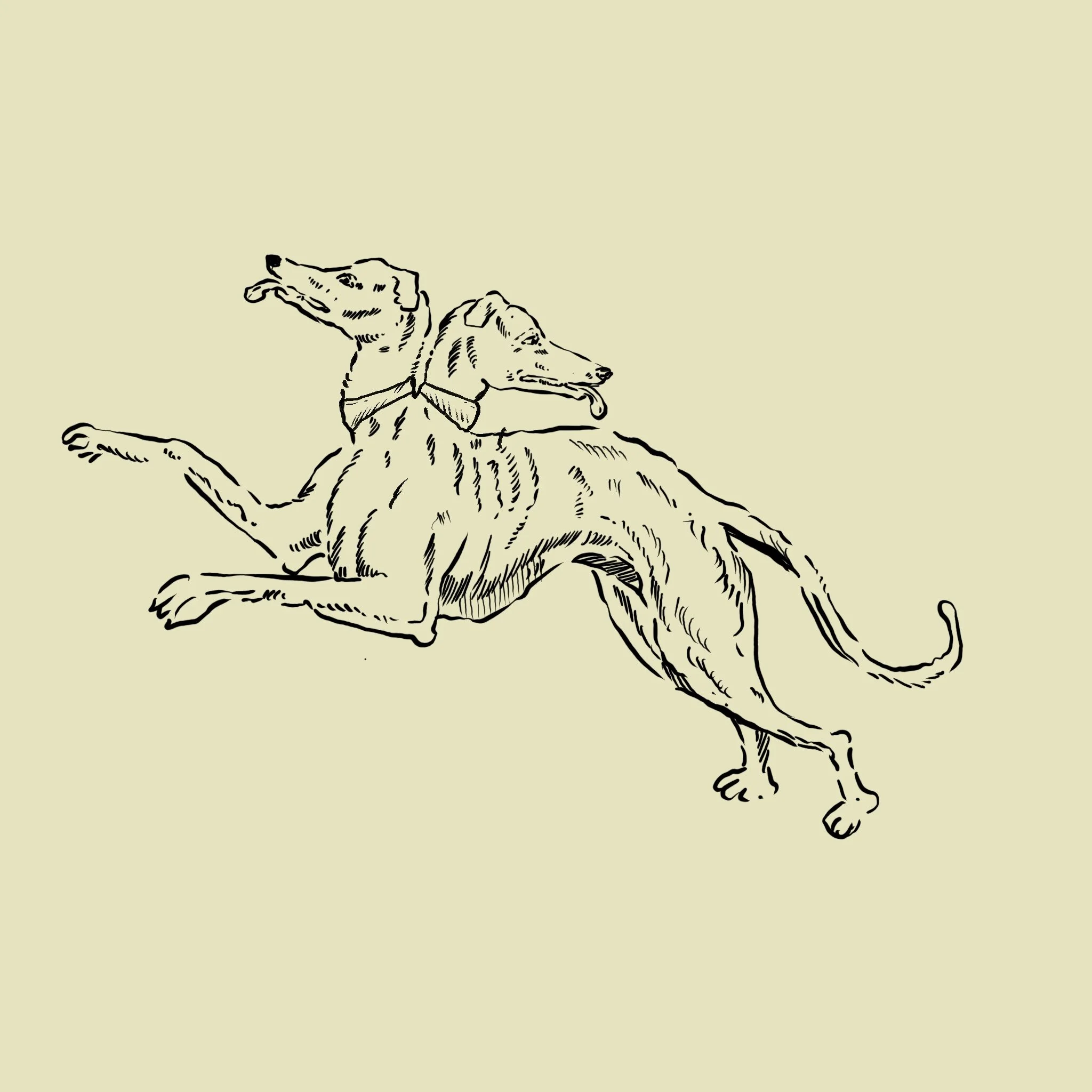 Line drawing of two dogs joined at the hips, lying with their heads turned in opposite directions, against a light background.