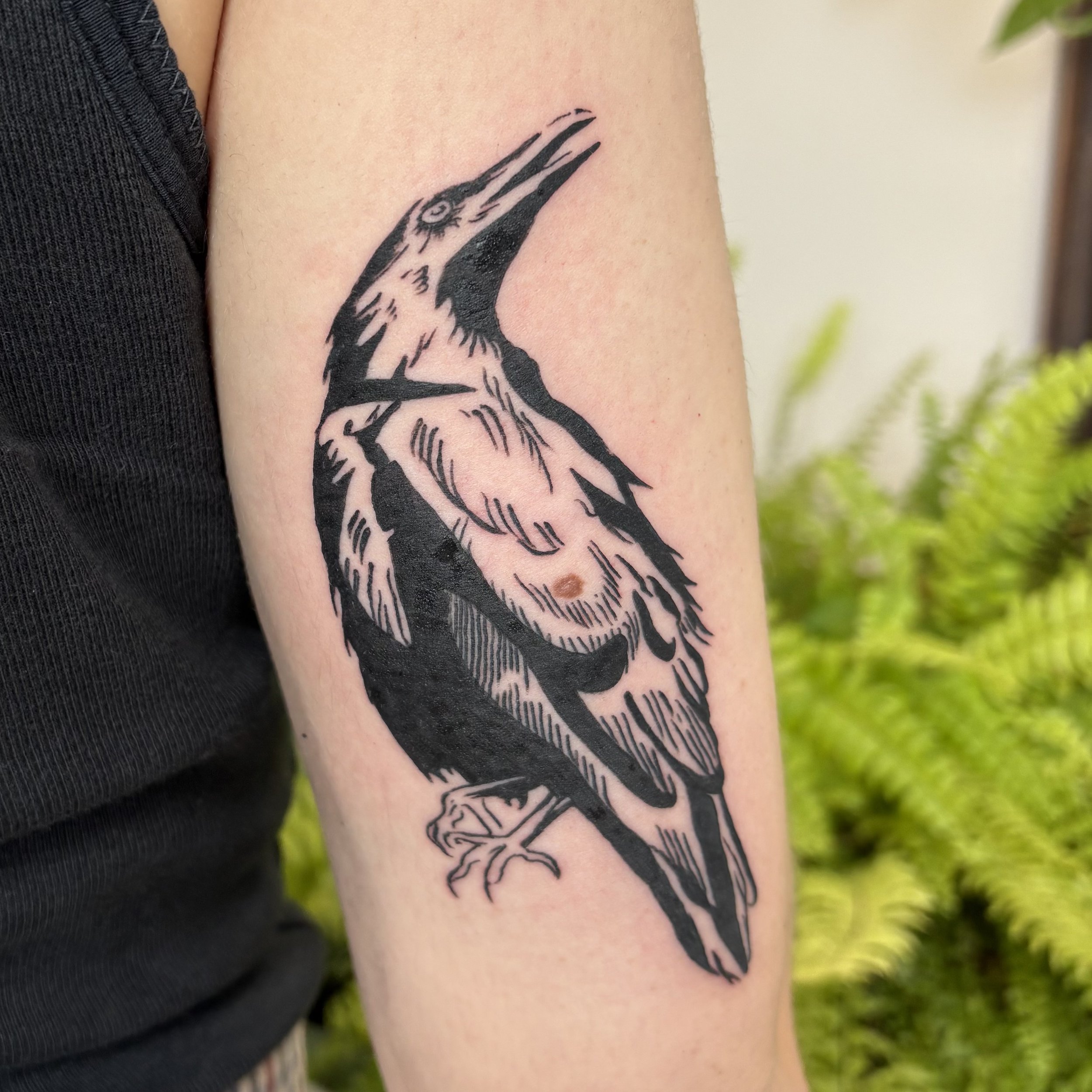 Black and gray tattoo of a bird with its beak open, depicted in a stylized, graphic design on a person's upper arm.