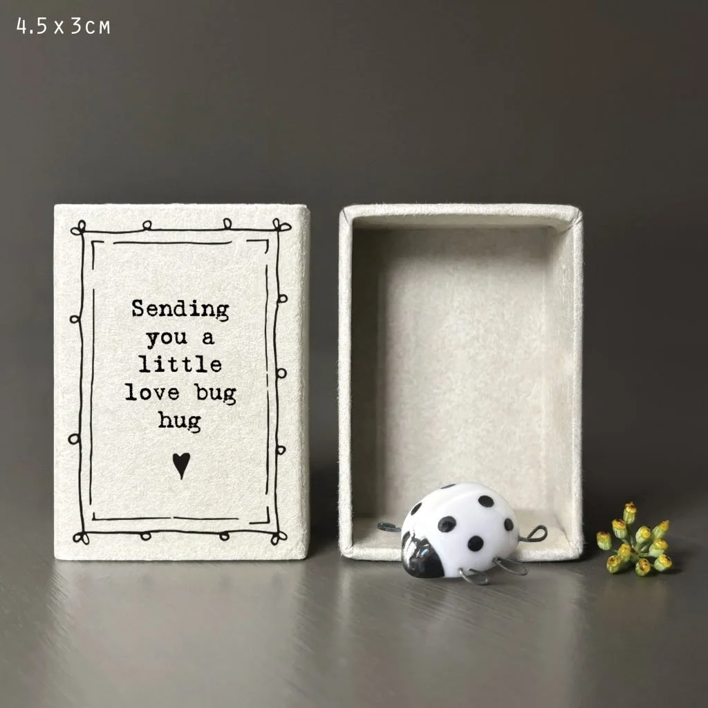 Matchbox Love bug hug