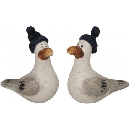 Bobble Hat Seagull