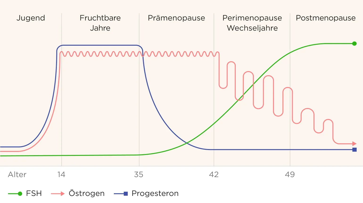 Weibliche Hormone im laufe des Alters