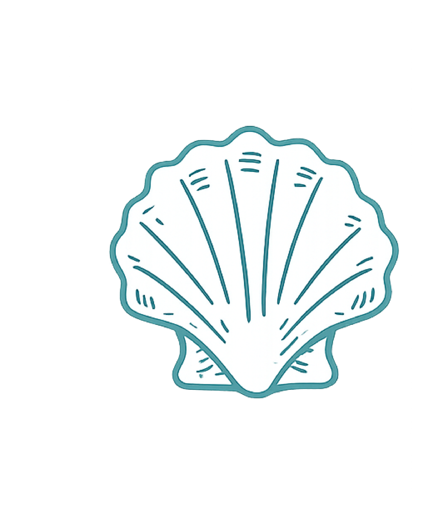 A line drawing of a seashell with a scalloped edge and radiating ridges.