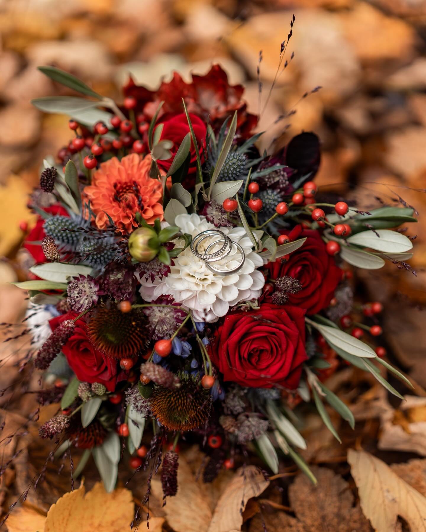 Letztes Jahr durfte ich so viele wundersch&ouml;ne Brautstr&auml;u&szlig;e in kr&auml;ftigen, bunten Farben fotografieren 😍
Und auch dieses Jahr geht der Trend weiter 🩷❤️🧡💛💚
Aber ganz egal, ob rot, blau oder klassisch wei&szlig; &ndash;
Hauptsac