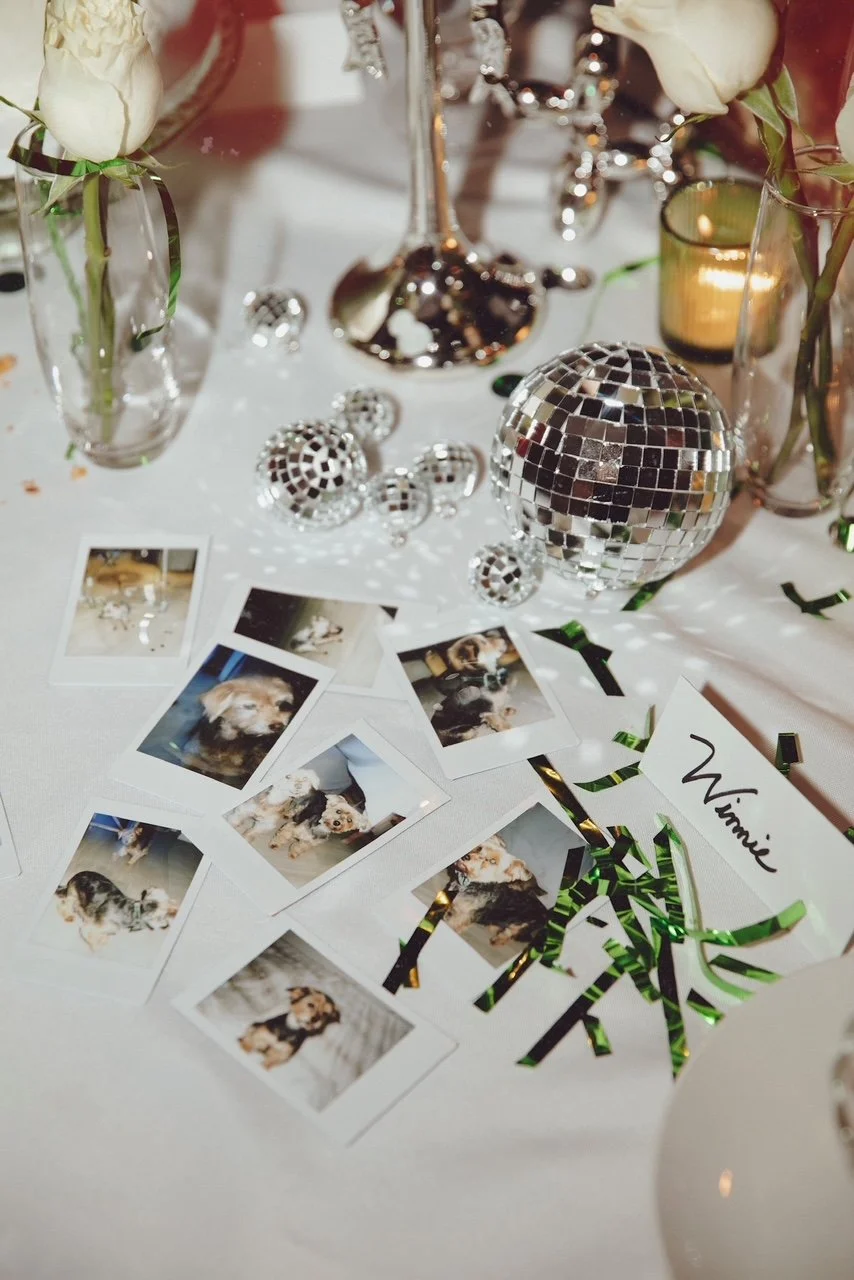 Bunny Tales Website Launch Party: A Chic, Dog-Inspired Celebration