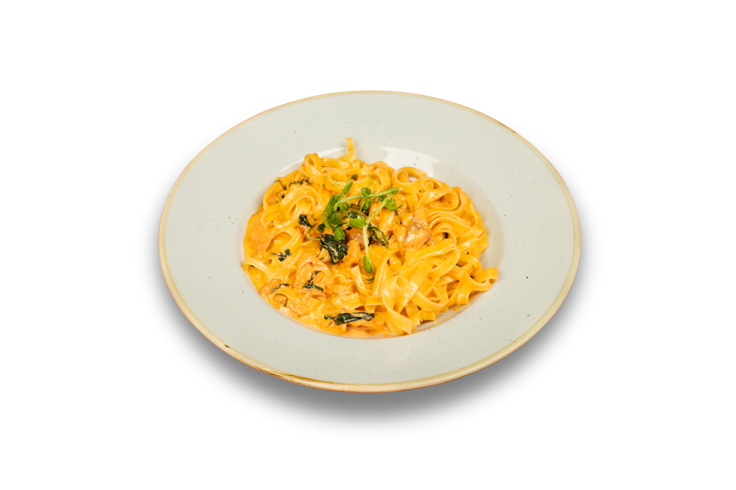 Tagliatelle Al Salmone