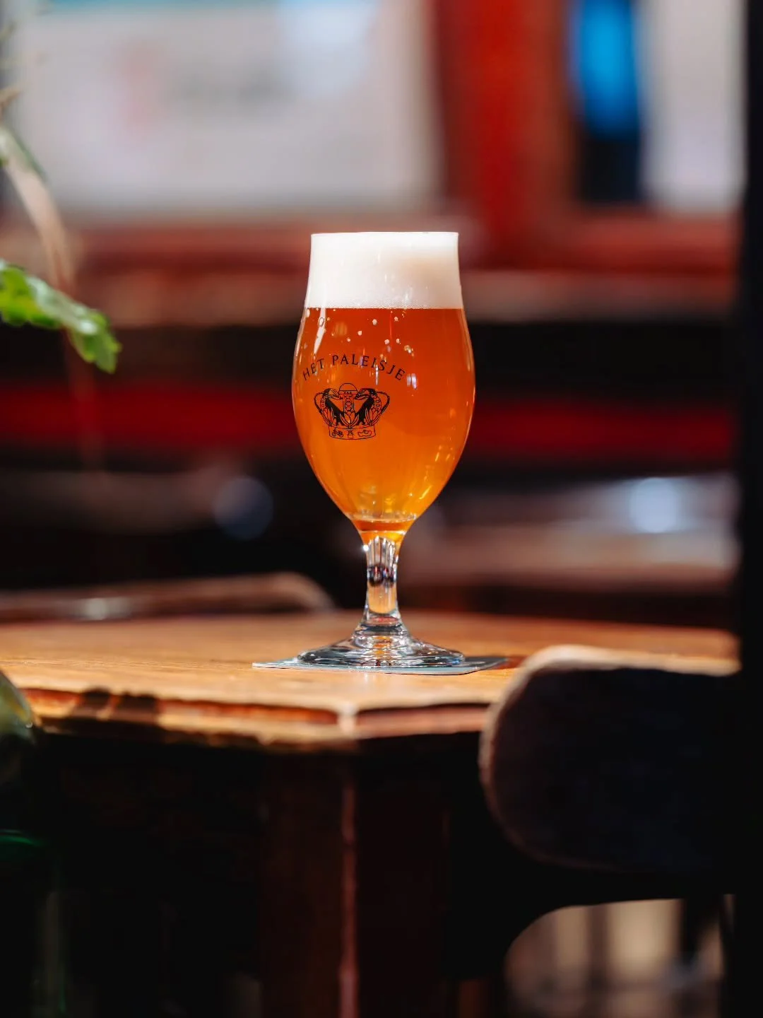 Fris, licht kruidig en soepel doordrinkbaar.
Bernardus Blond van Brouwerij &rsquo;t Paleisje is zo&rsquo;n blondje dat altijd goed zit! 🔥👀

Perfect voor de borrel of om rustig mee te beginnen.
Vers van de tap bij Studio. 🚰🍺

👉 Kom &lsquo;m proev