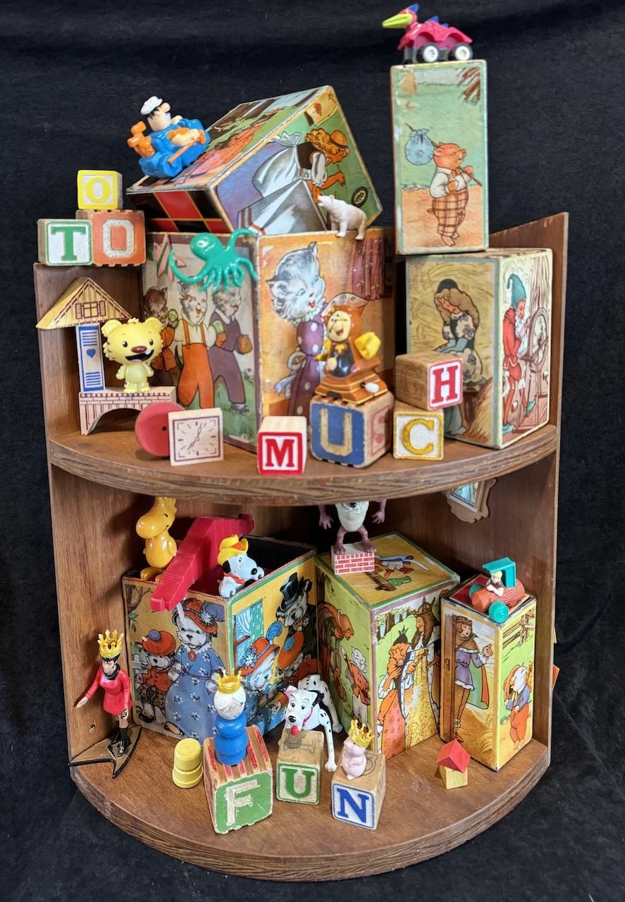 Toy Shelf Shenanigans by Luanne Bole-Becker