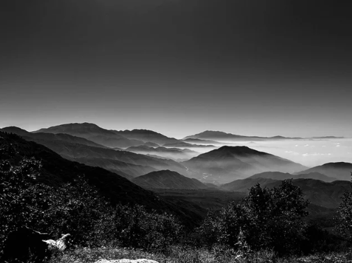 Into The Mystic by Joseph John