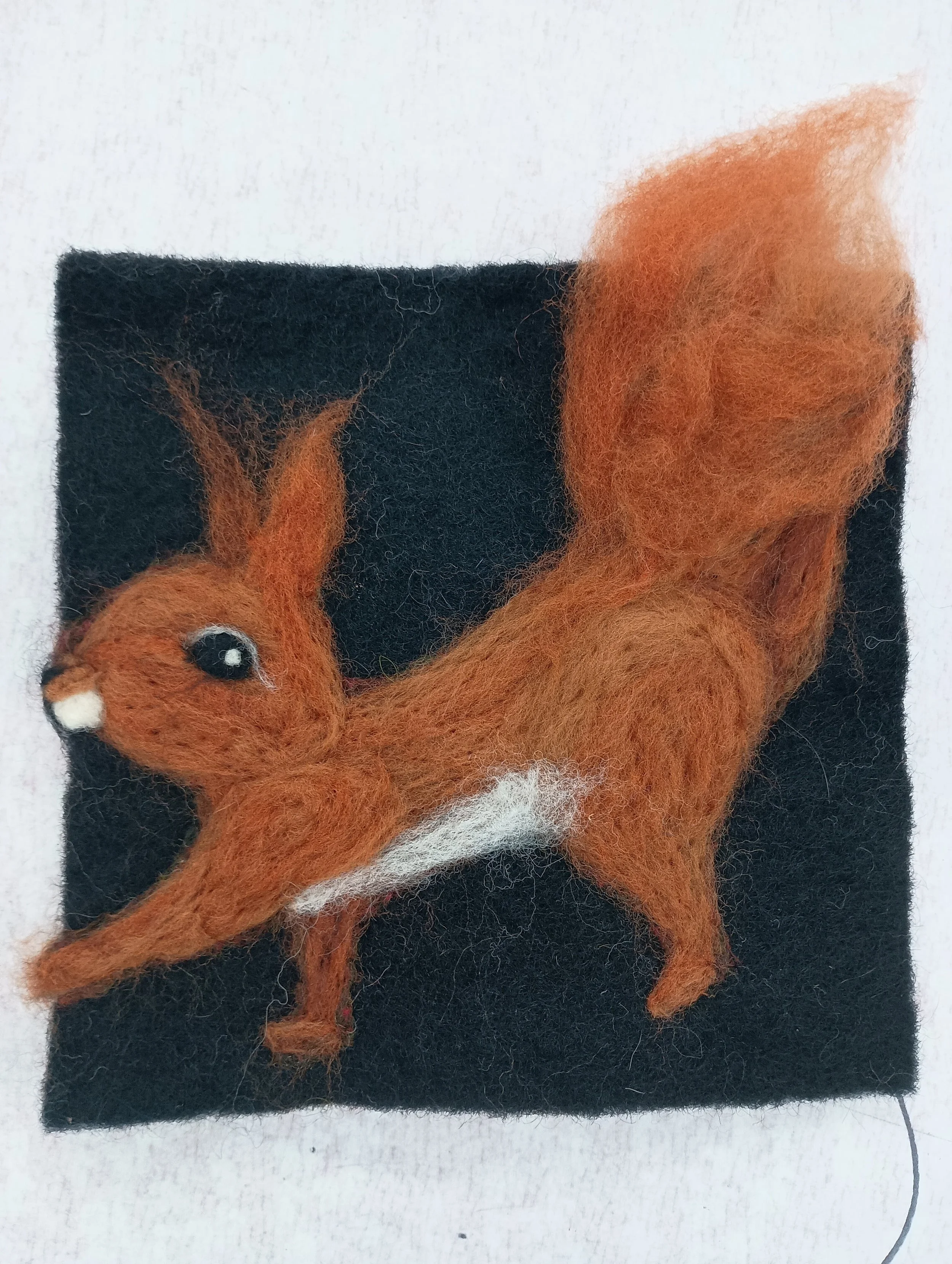 Nancy's Squirrel!.jpg