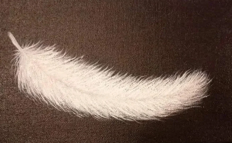Michelle White Feather Painting.jpeg