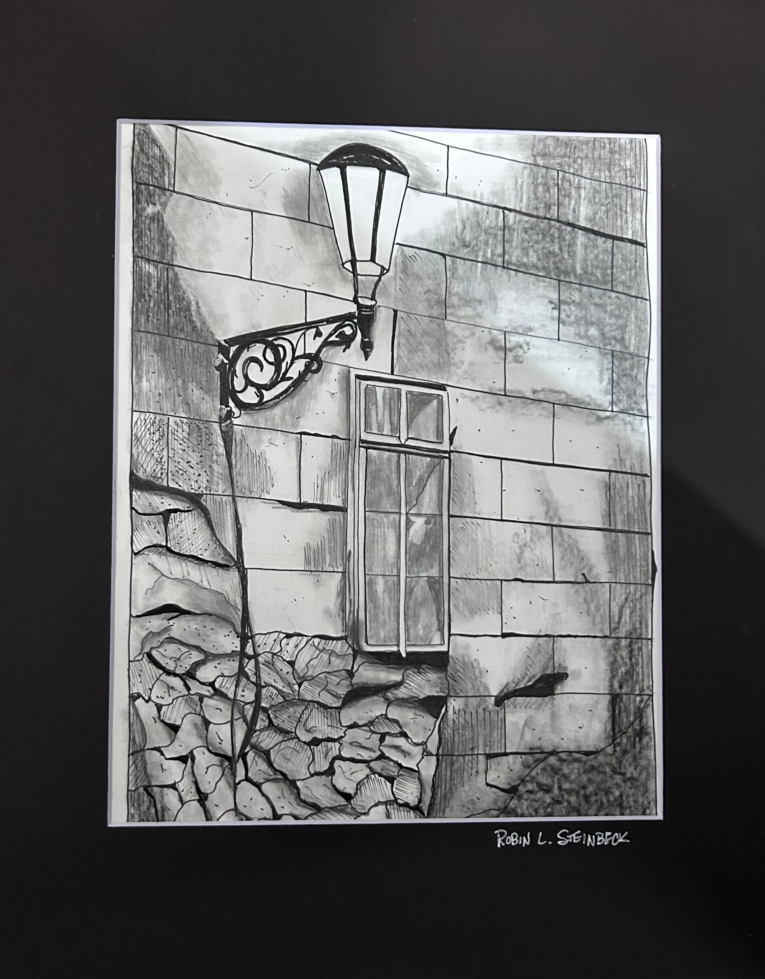 Guiding Light by Robin Steinbeck