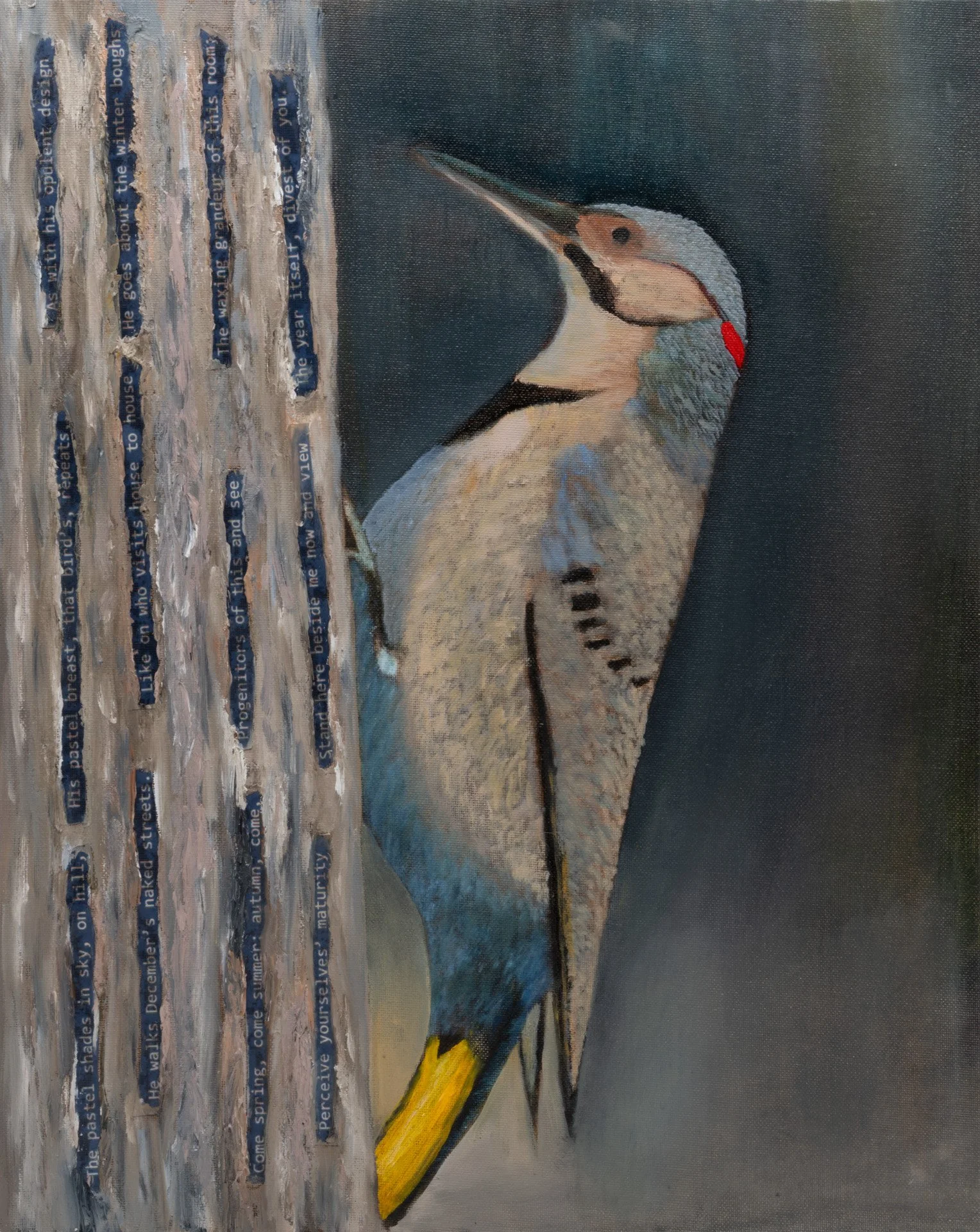 Northern Flickers.jpg