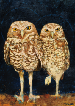 Burrowing Owls by Tracy Zakraysek