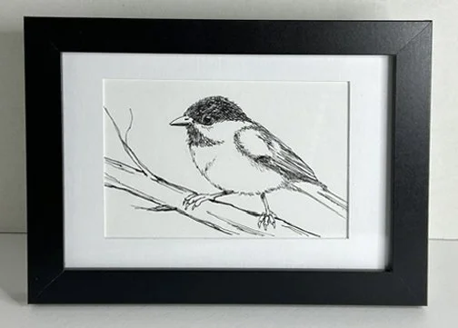 Chicadee