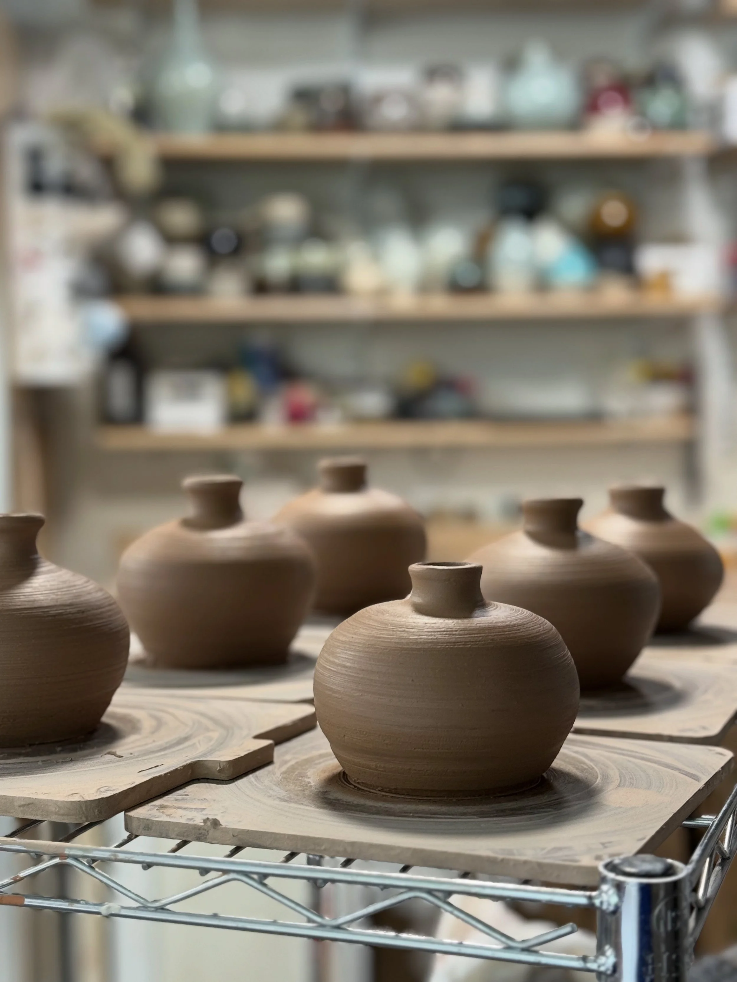 Image shows rows of small bud vases freshly thrown. In the background, out of focus, are shelves filled with pottery