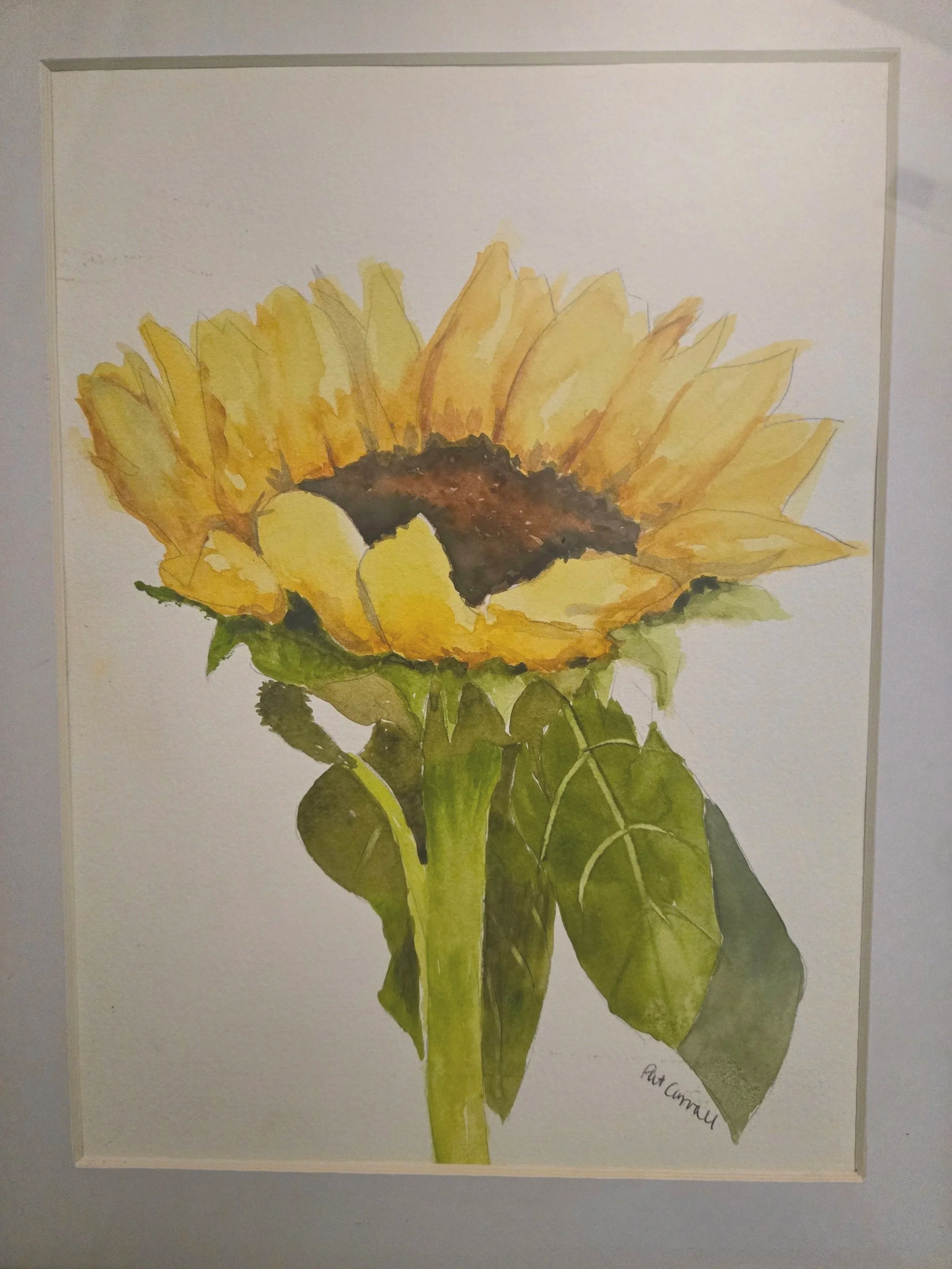 Sunflower.jpg