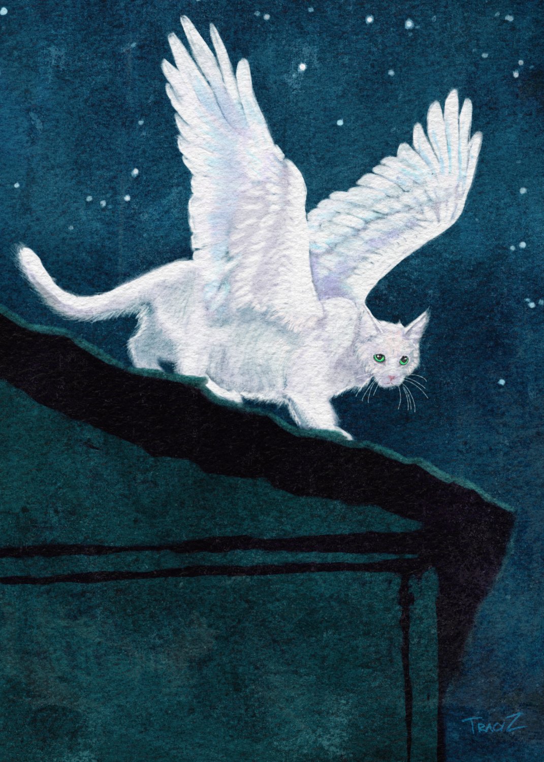 Ghostly Visitor by Tracy Zakraysek