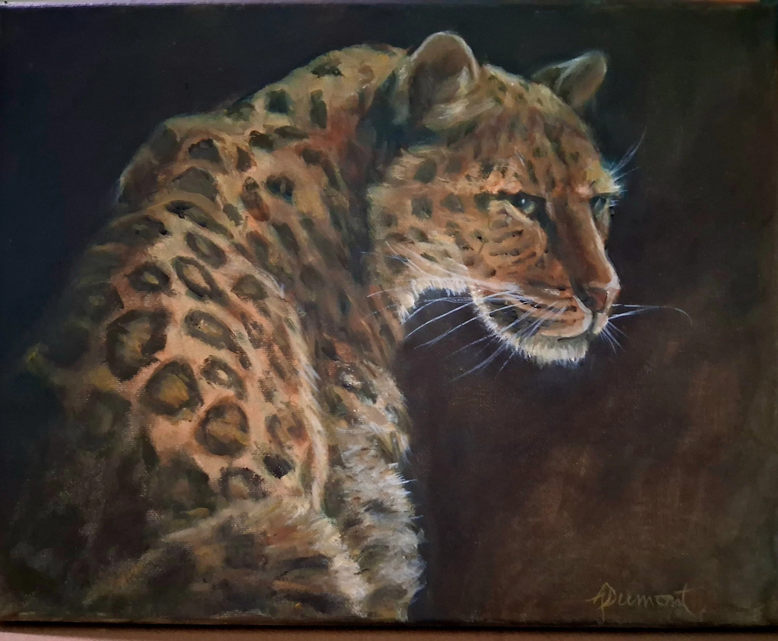 cheetah.jpg