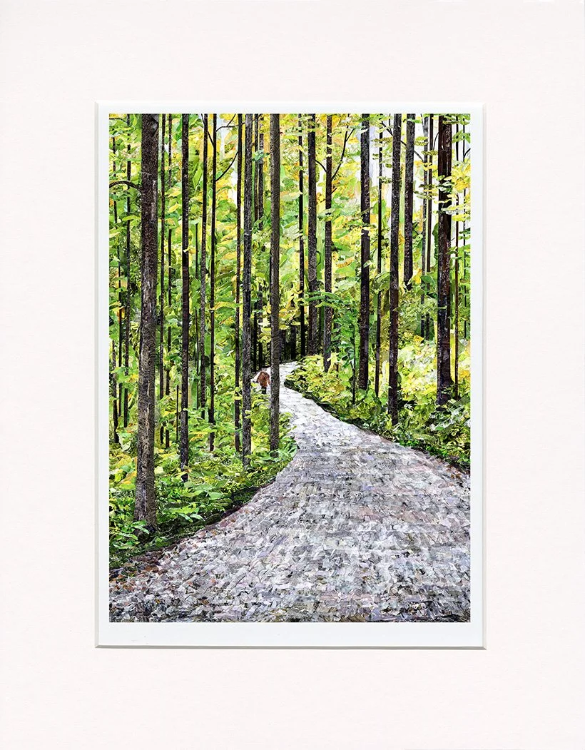A Walk in the Woods by Rachel Kabelitz