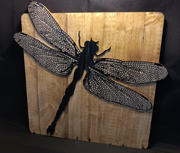 Dragonfly Jan '25 by Joseph Weinpert