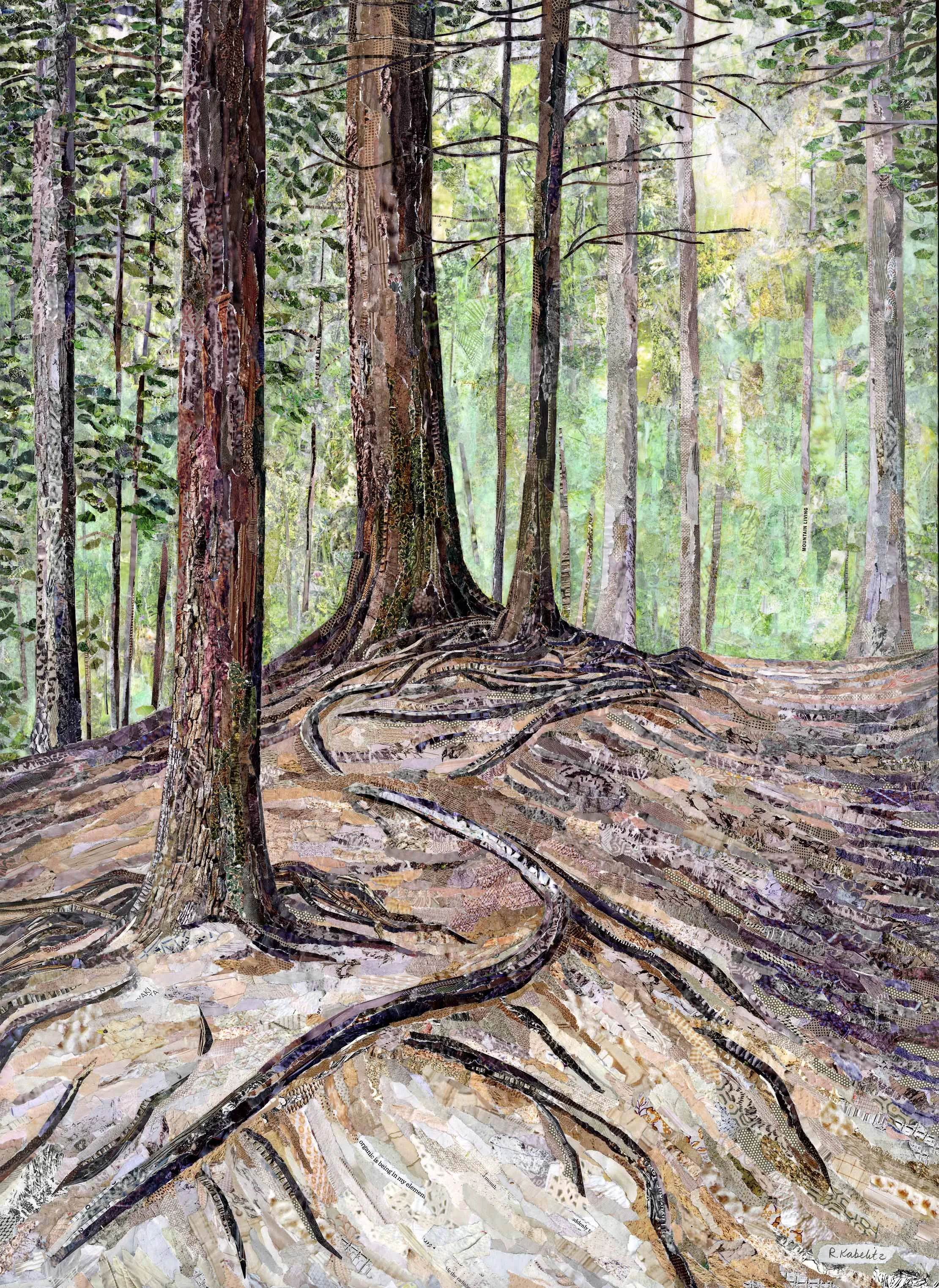 On the Trail.jpg