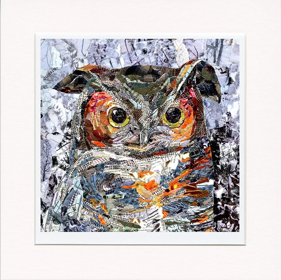 Portrait of an Owl.jpg