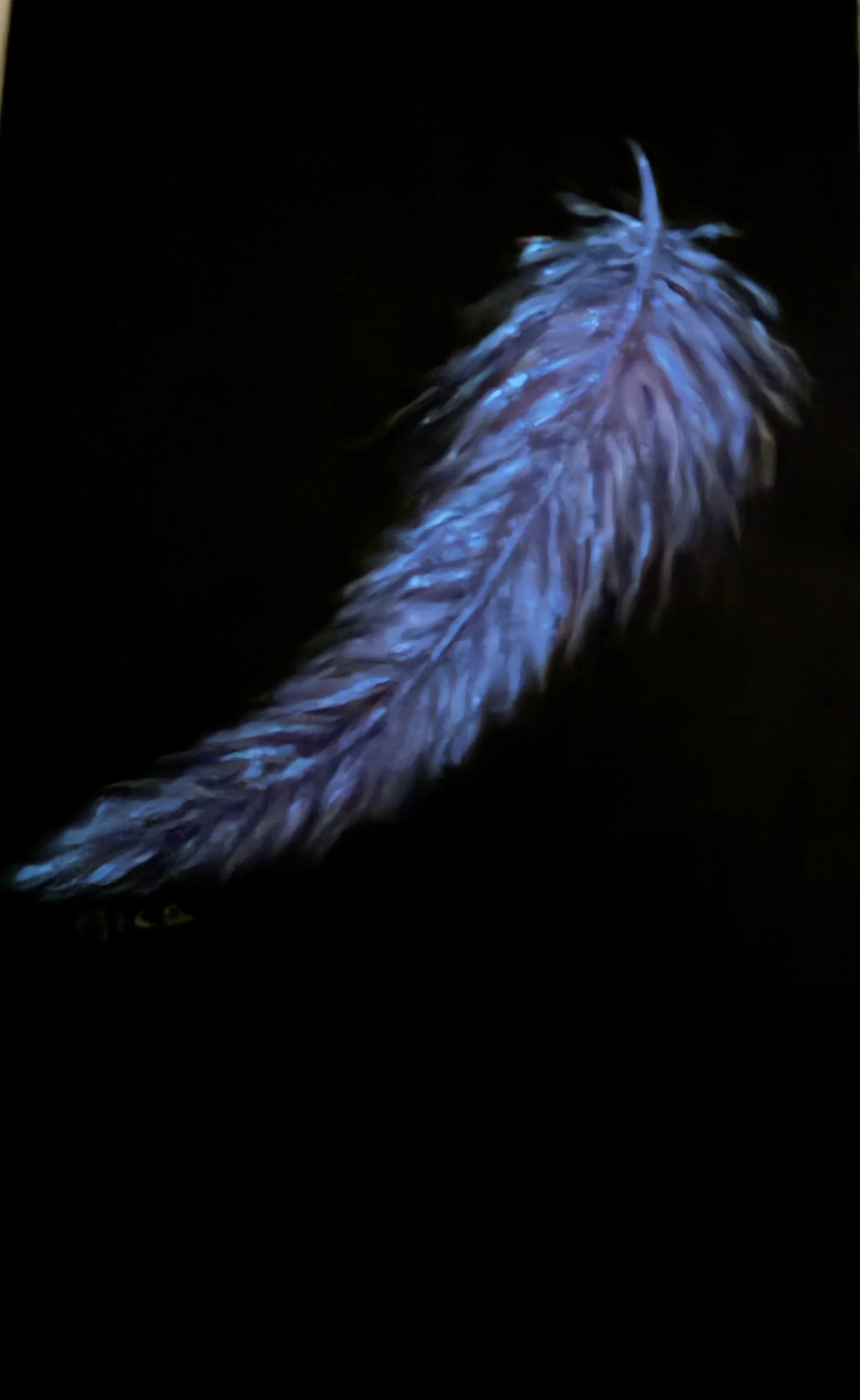 Feather Journal by Michelle Farnworth