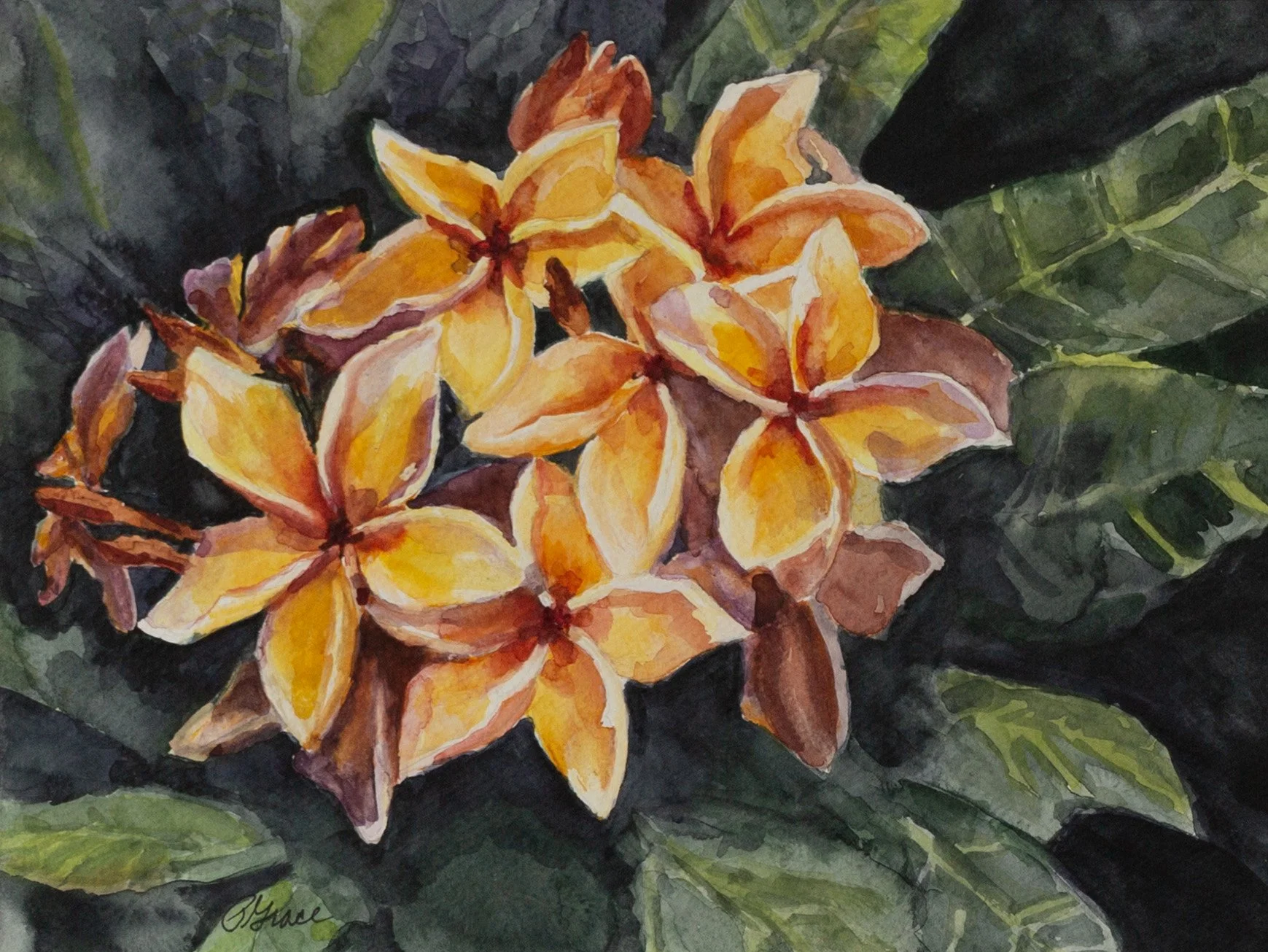 Heaven's Flowers by Pat Grace